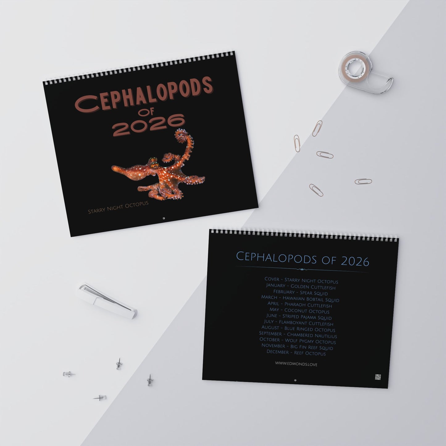 Cephalopods of 2026 Wall Calendar