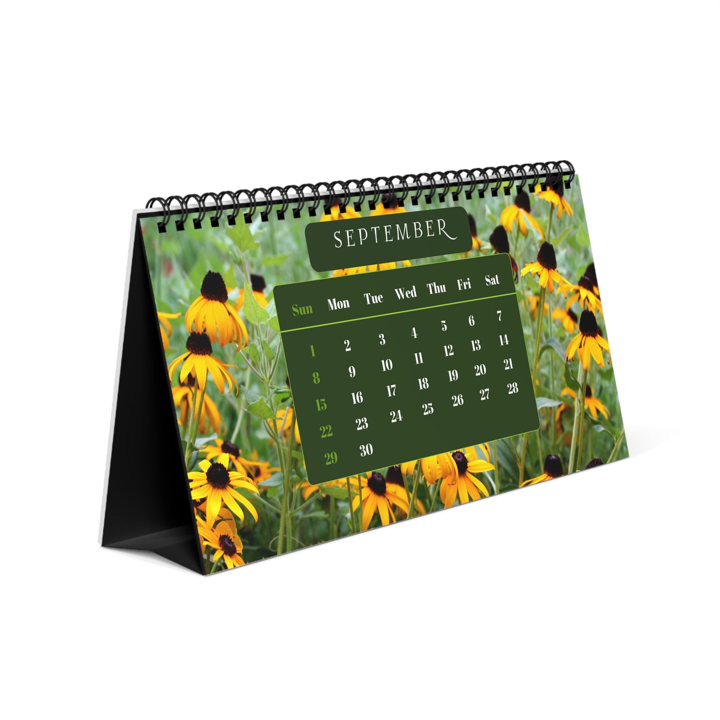 Botanical Gardens 2024 Desk Calendar