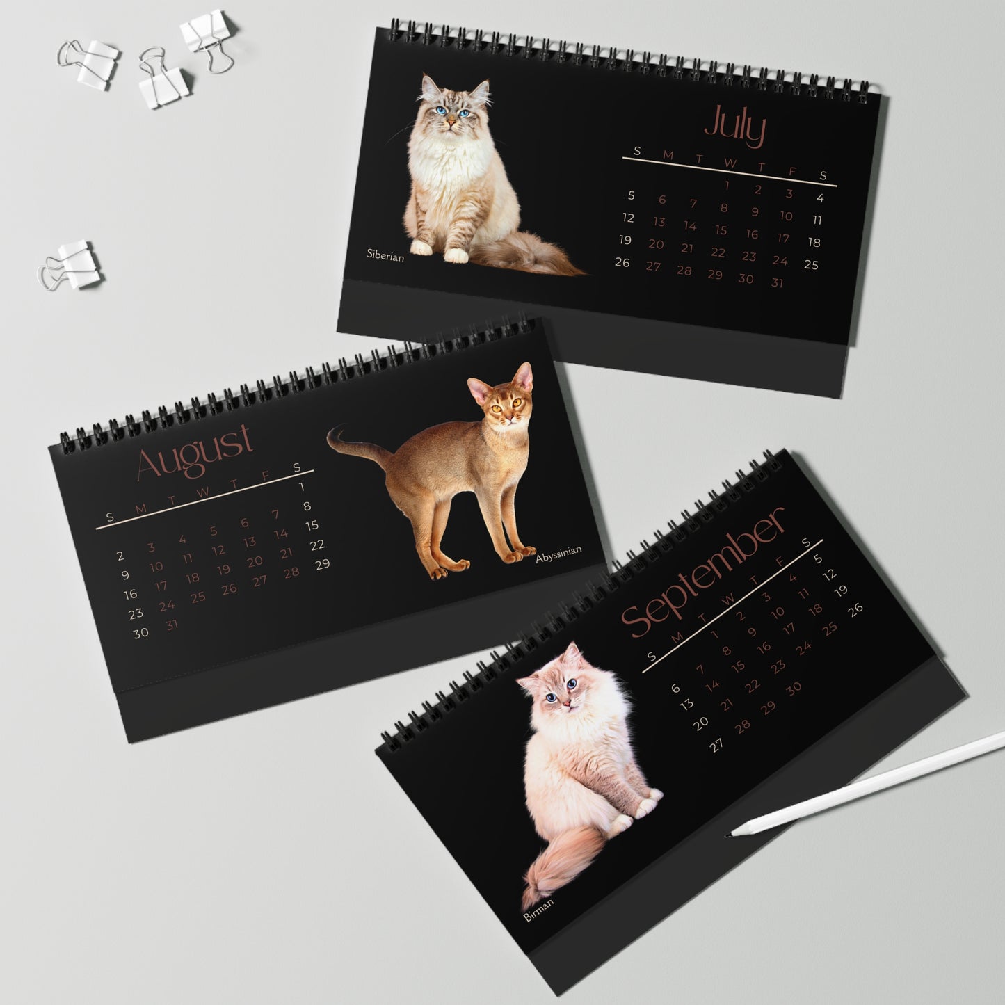 Fantastic Felines of 2026 (Cats) Desktop Calendar