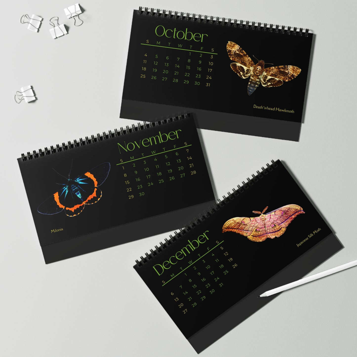 Marvelous Moths of 2026 Desktop Calendar