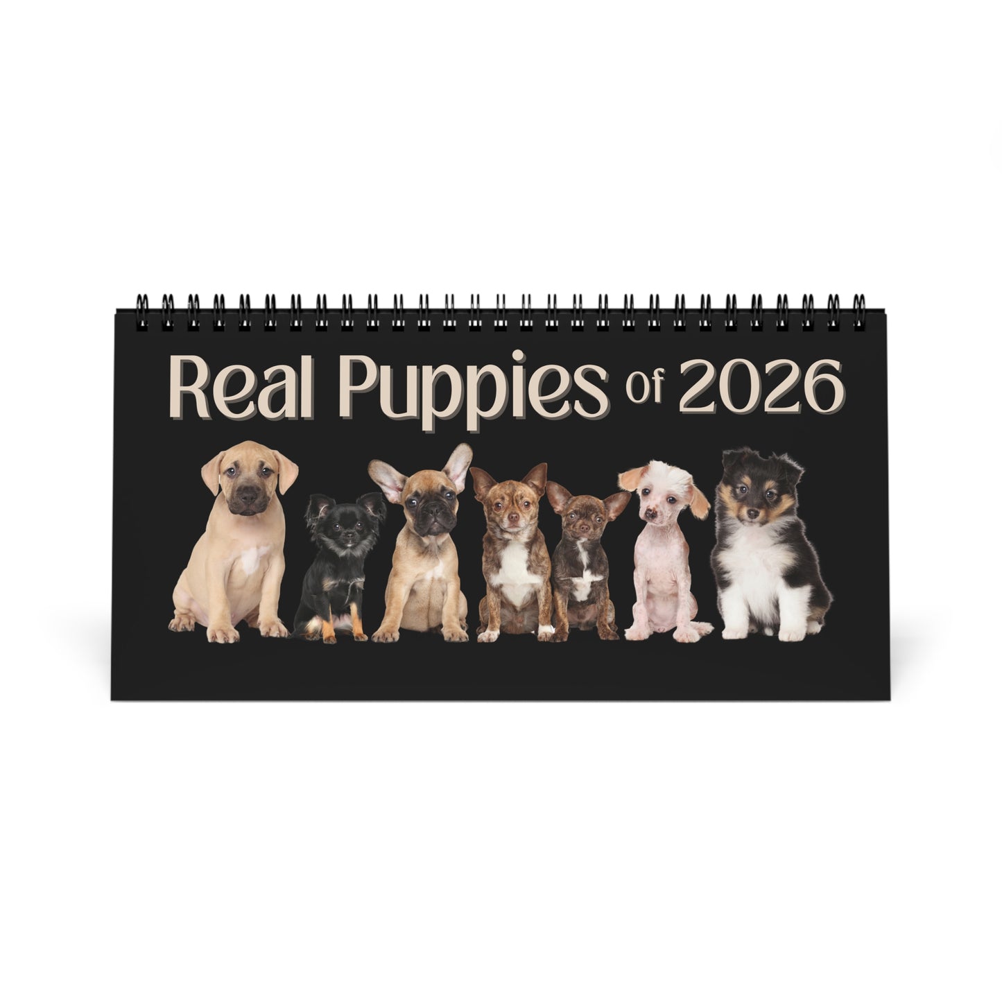Real Puppies of 2026 Desktop Calendar