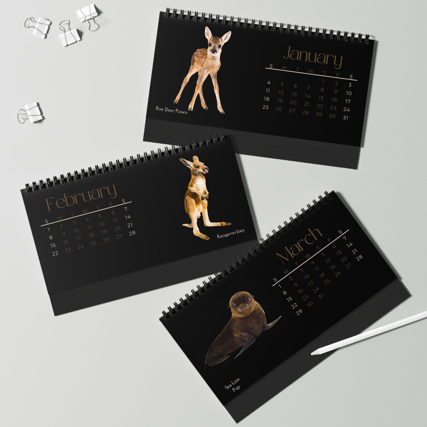 Baby Animals of 2026 Desktop Calendar