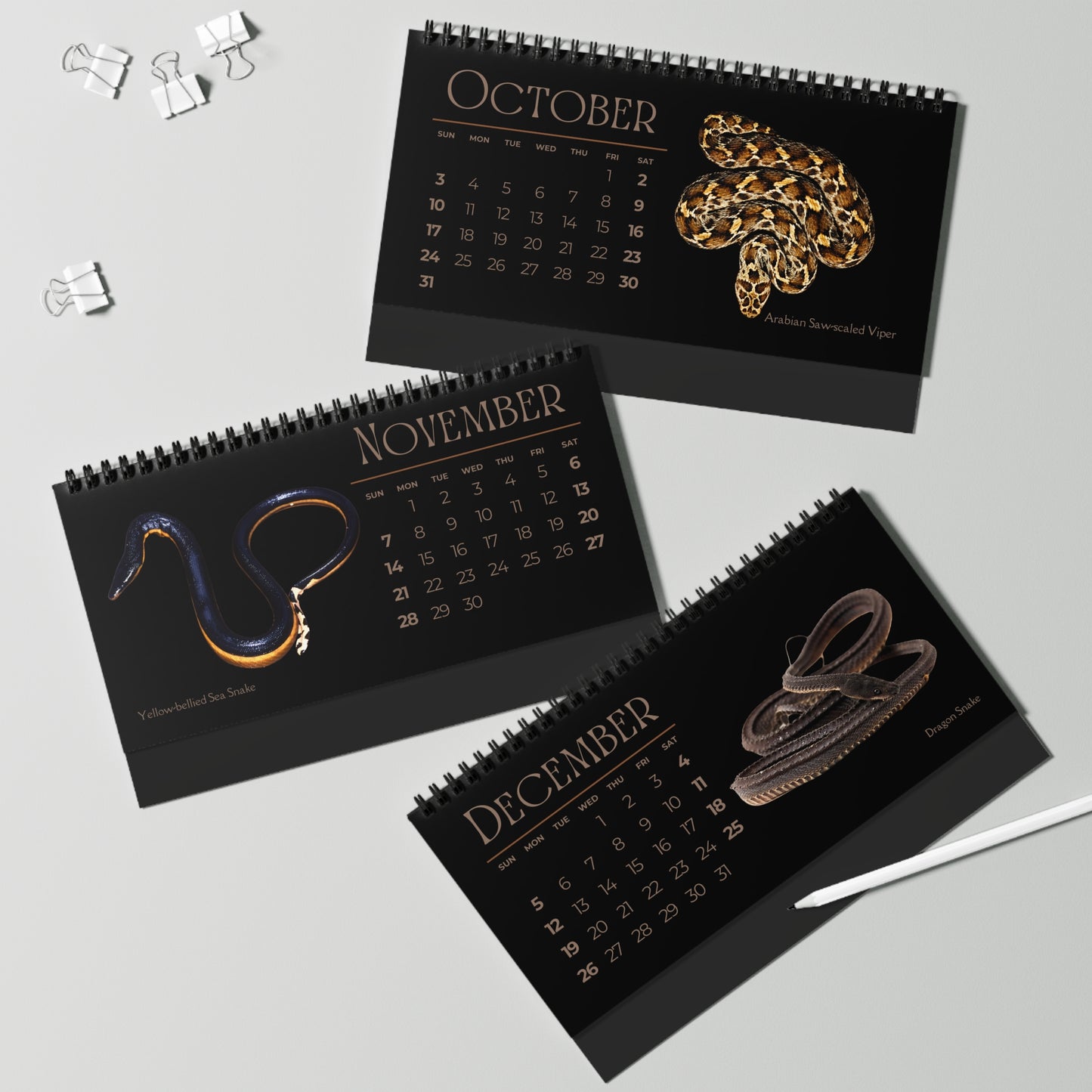 Striking Snakes of 2027 Desktop Calendar