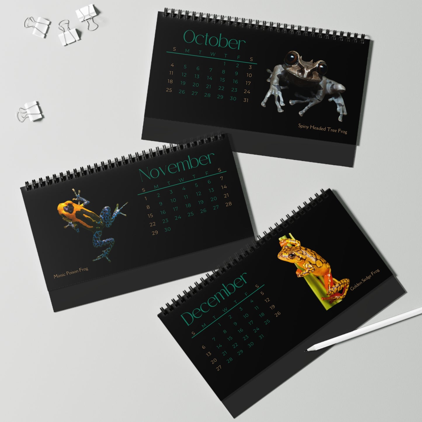 Frogs & Toads of 2026 Desktop Calendar