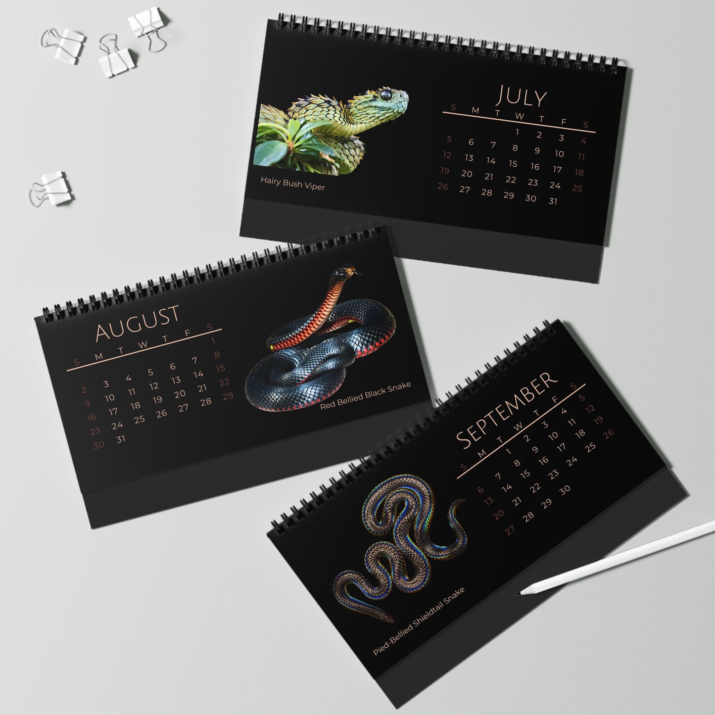 Striking Snakes of 2026 Desktop Calendar