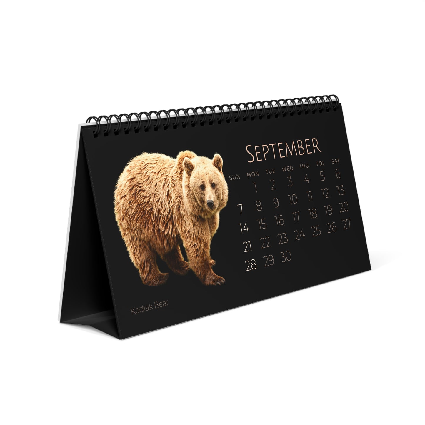 Bodacious Bears of 2025 Desktop Calendar