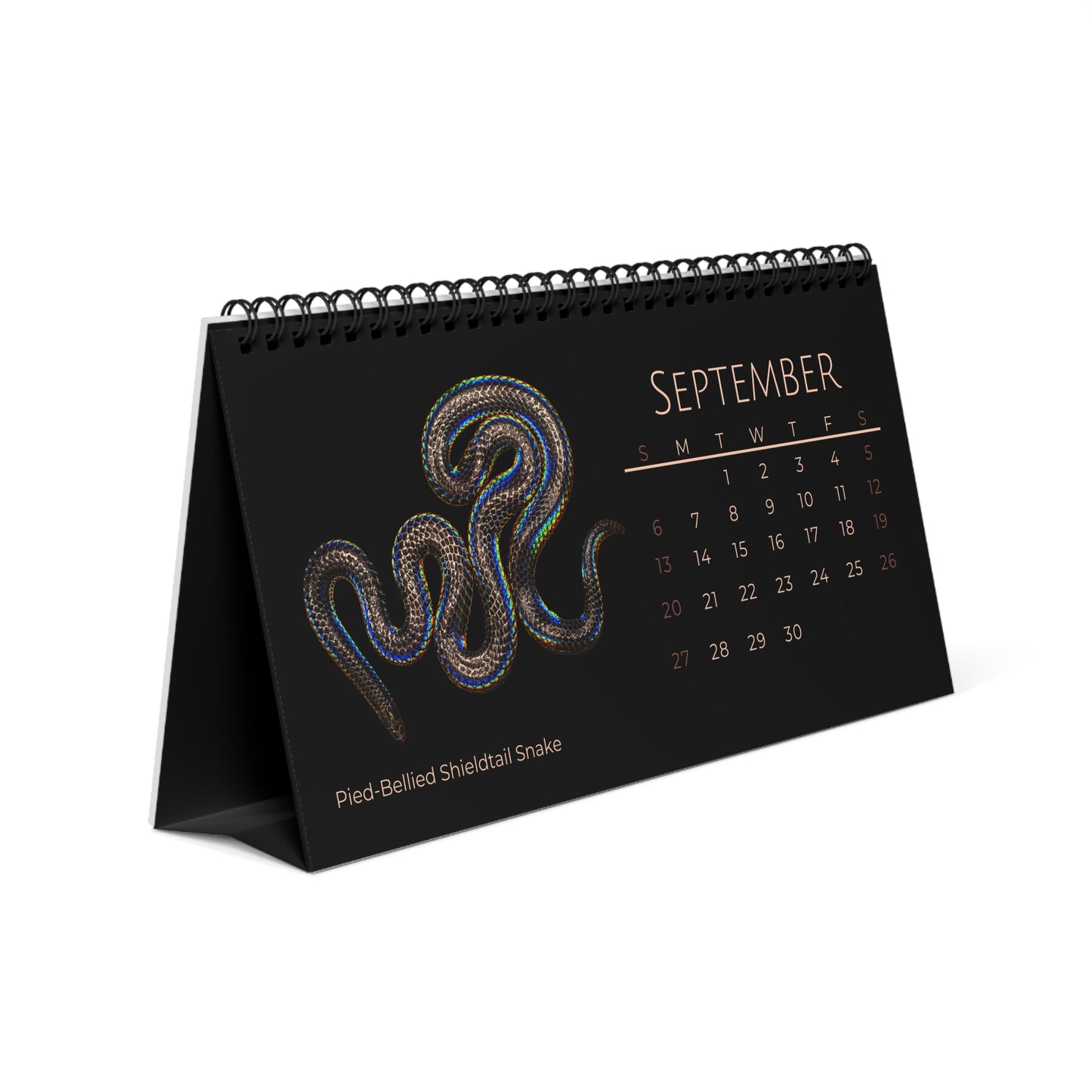 Striking Snakes of 2026 Desktop Calendar