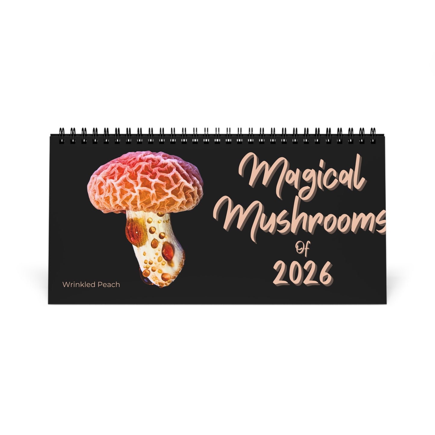 Magical Mushrooms of 2026 Desktop Calendar