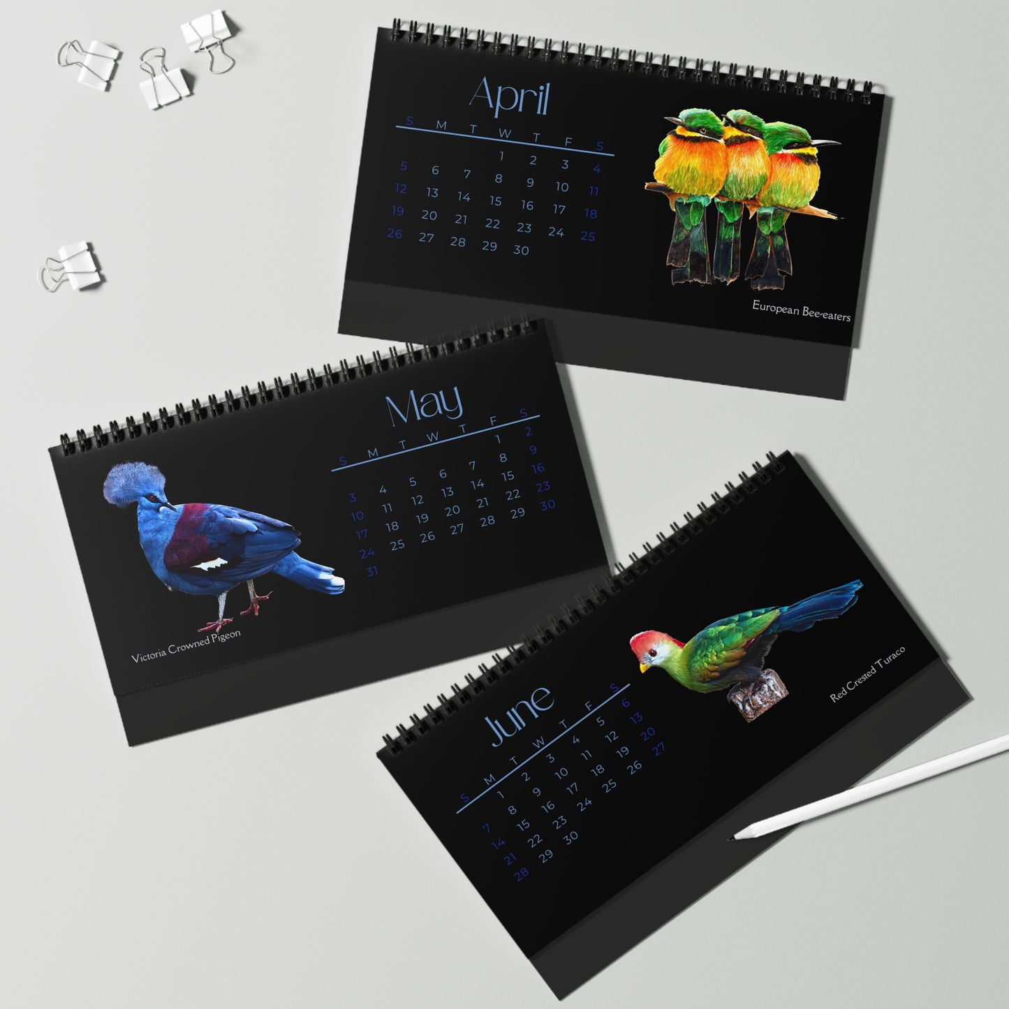 Brilliant Birds of 2026 Desktop Calendar