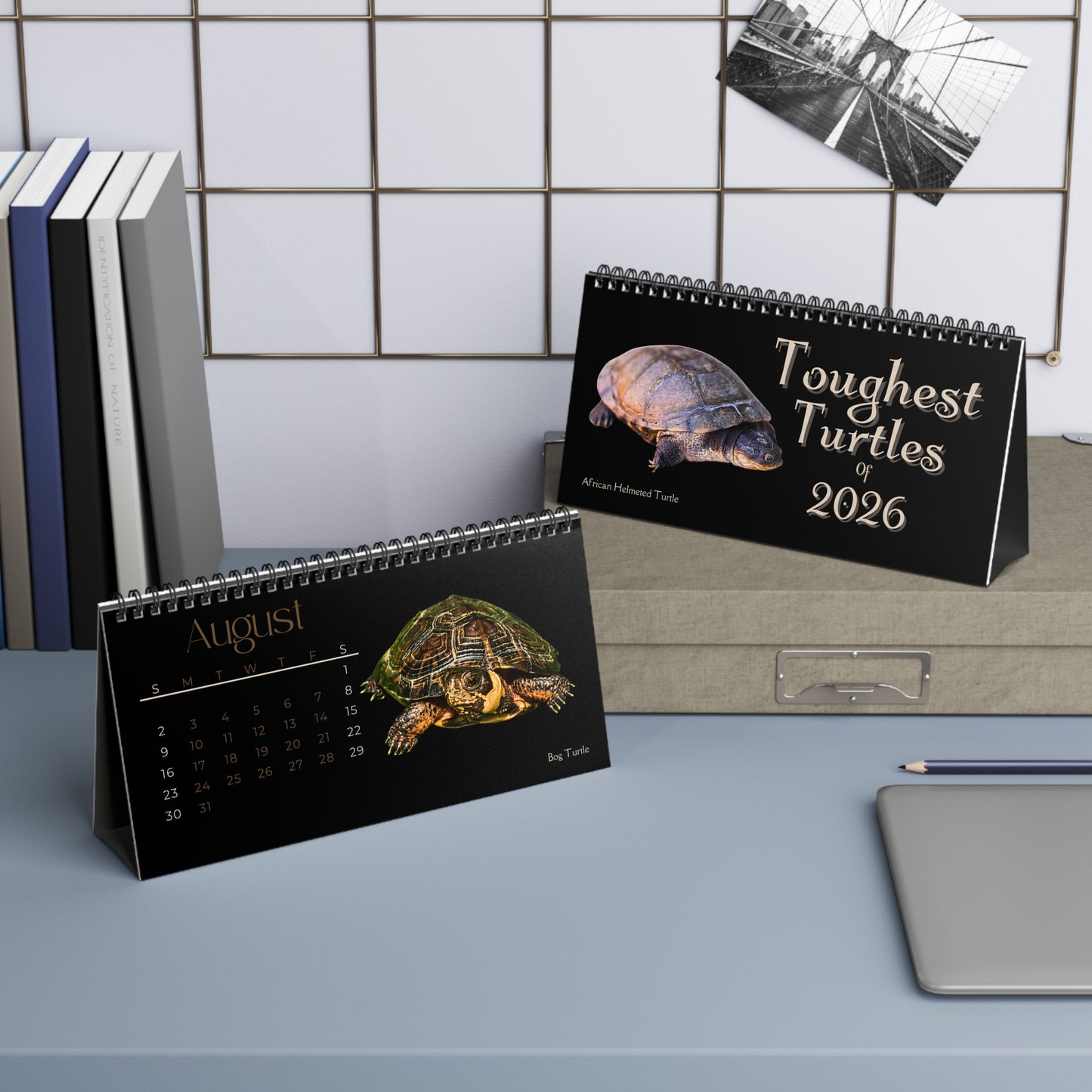 Toughest Turtles of 2026 Desktop Calendar