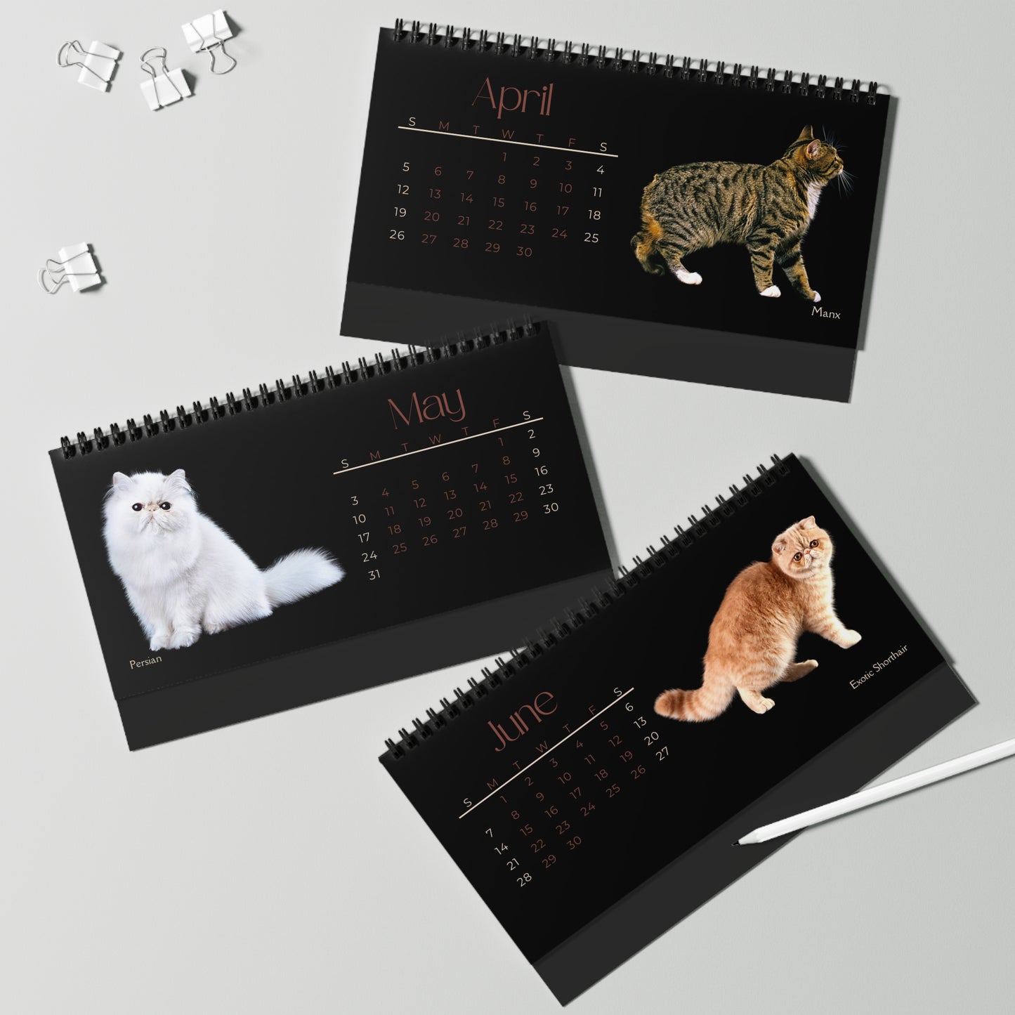 Fantastic Felines of 2026 (Cats) Desktop Calendar