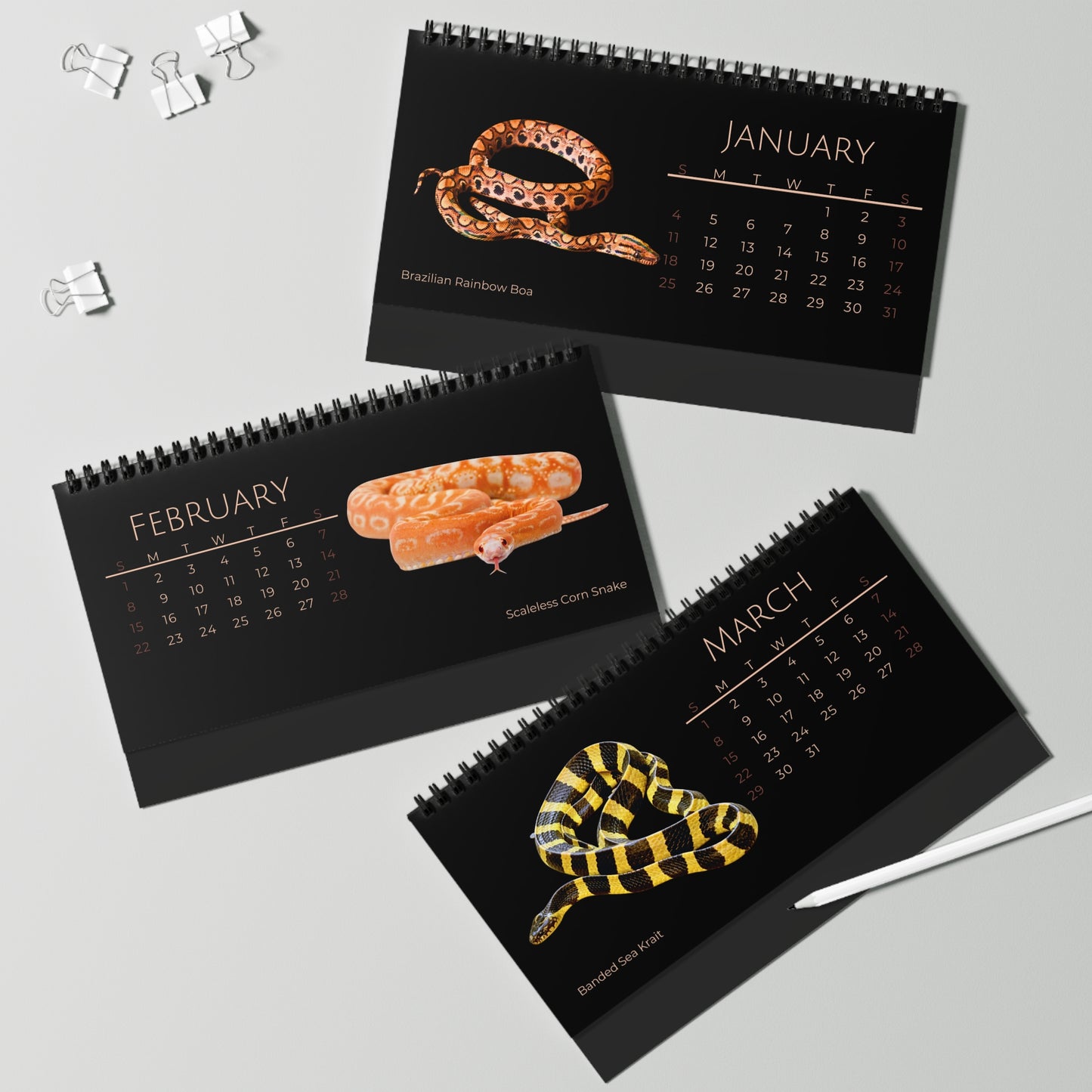 Striking Snakes of 2026 Desktop Calendar