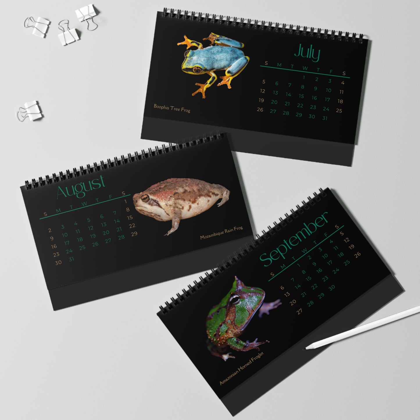 Frogs & Toads of 2026 Desktop Calendar