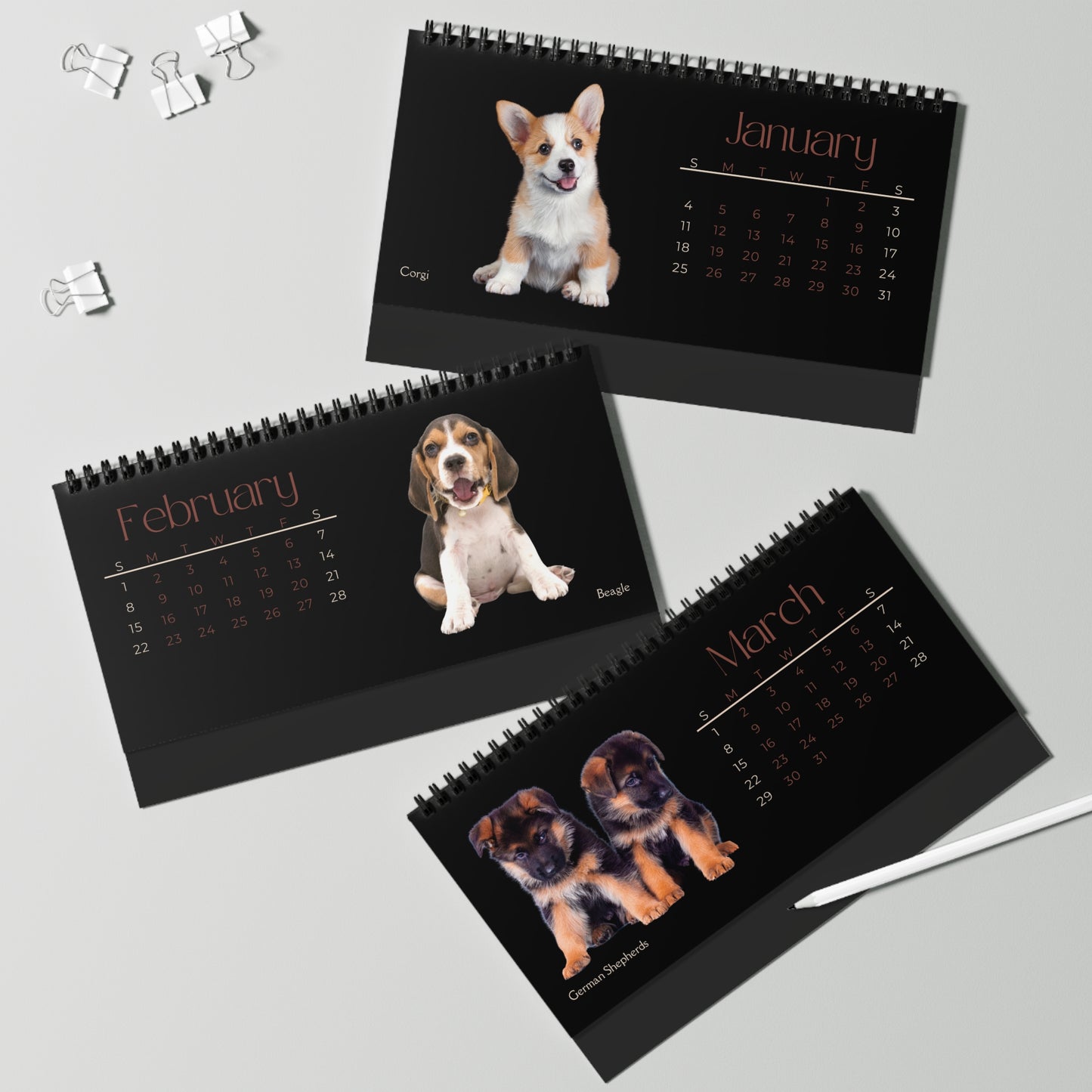 Real Puppies of 2026 Desktop Calendar