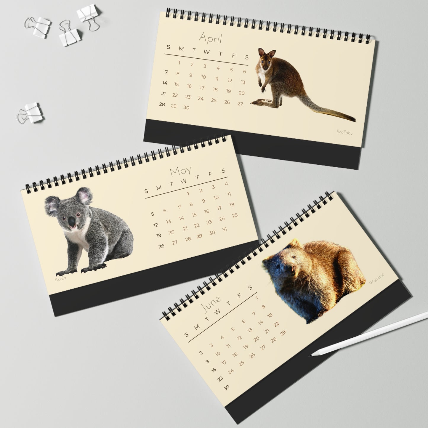 Magical Marsupials of 2024 Desk Calendar
