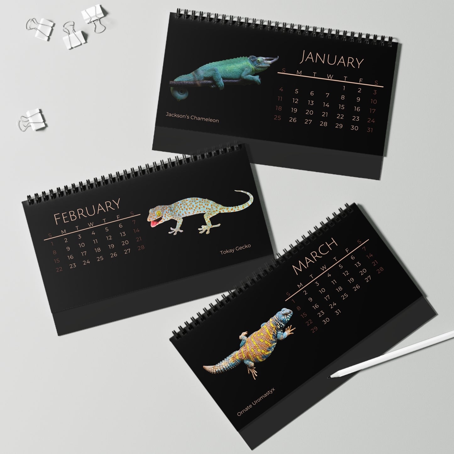 Legendary Lizards of 2026 Desktop Calendar