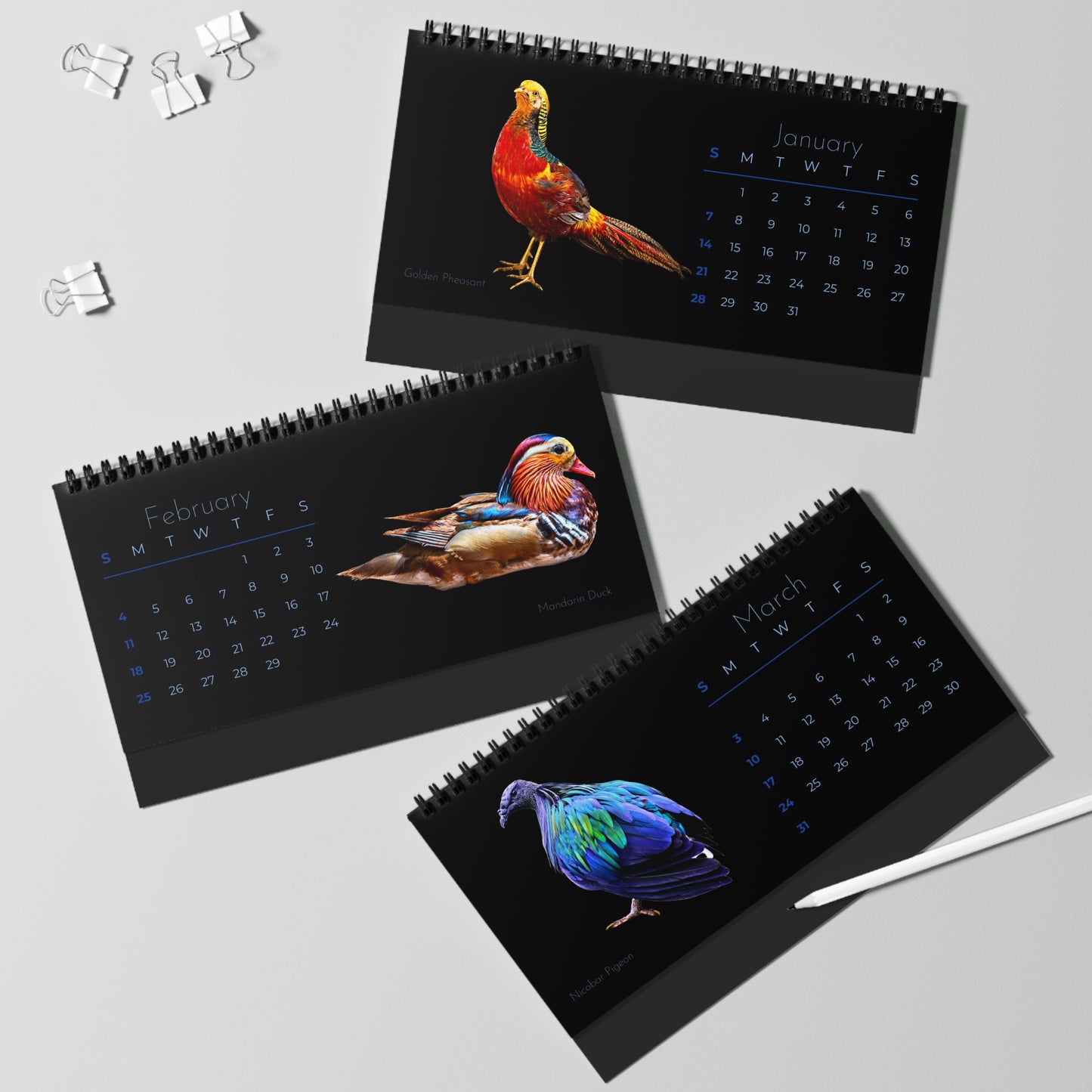 Brilliant Birds of 2024 Desk Calendar