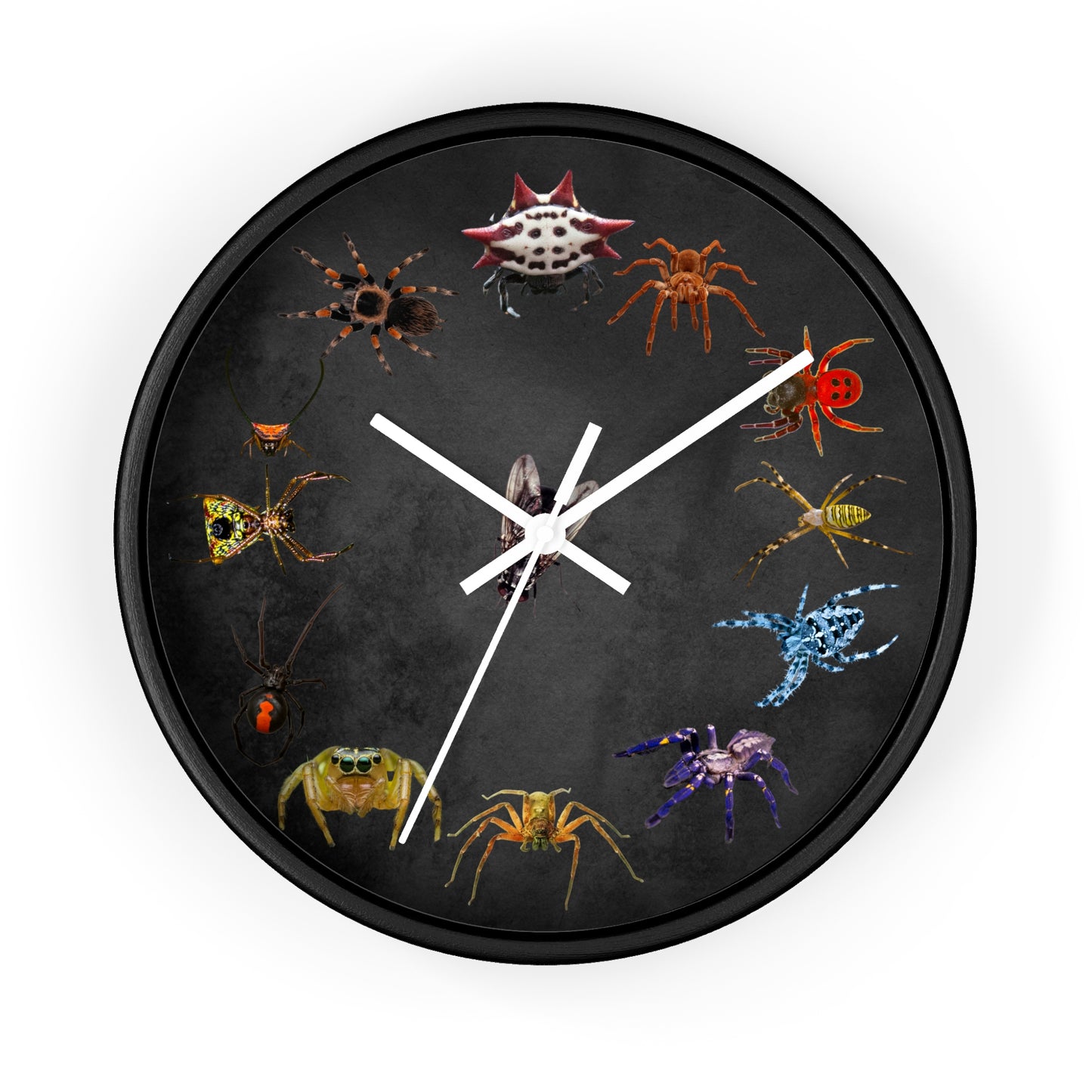 Stupendous Spiders Wall Clock
