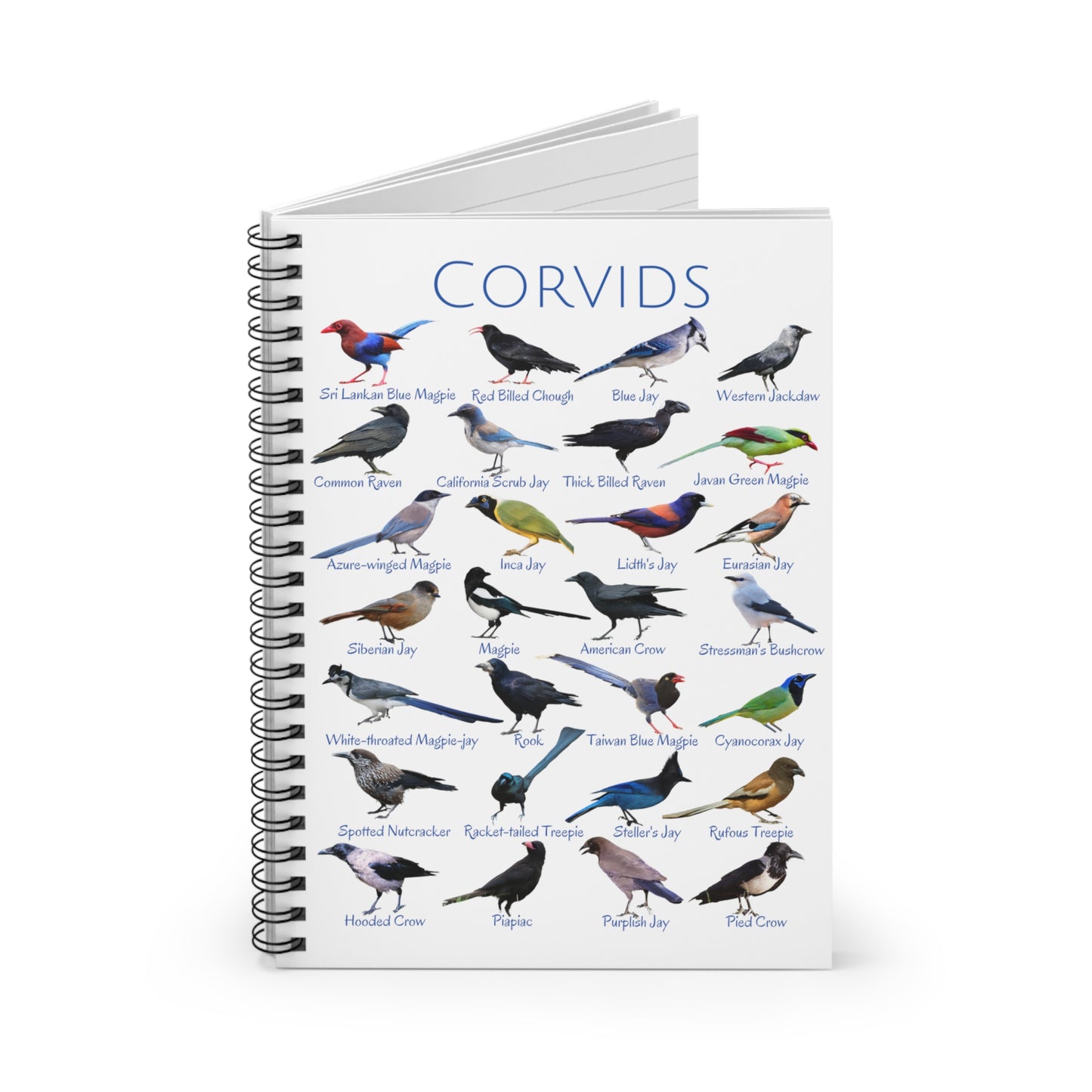 Corvids Spiral Notebook - Ruled Line