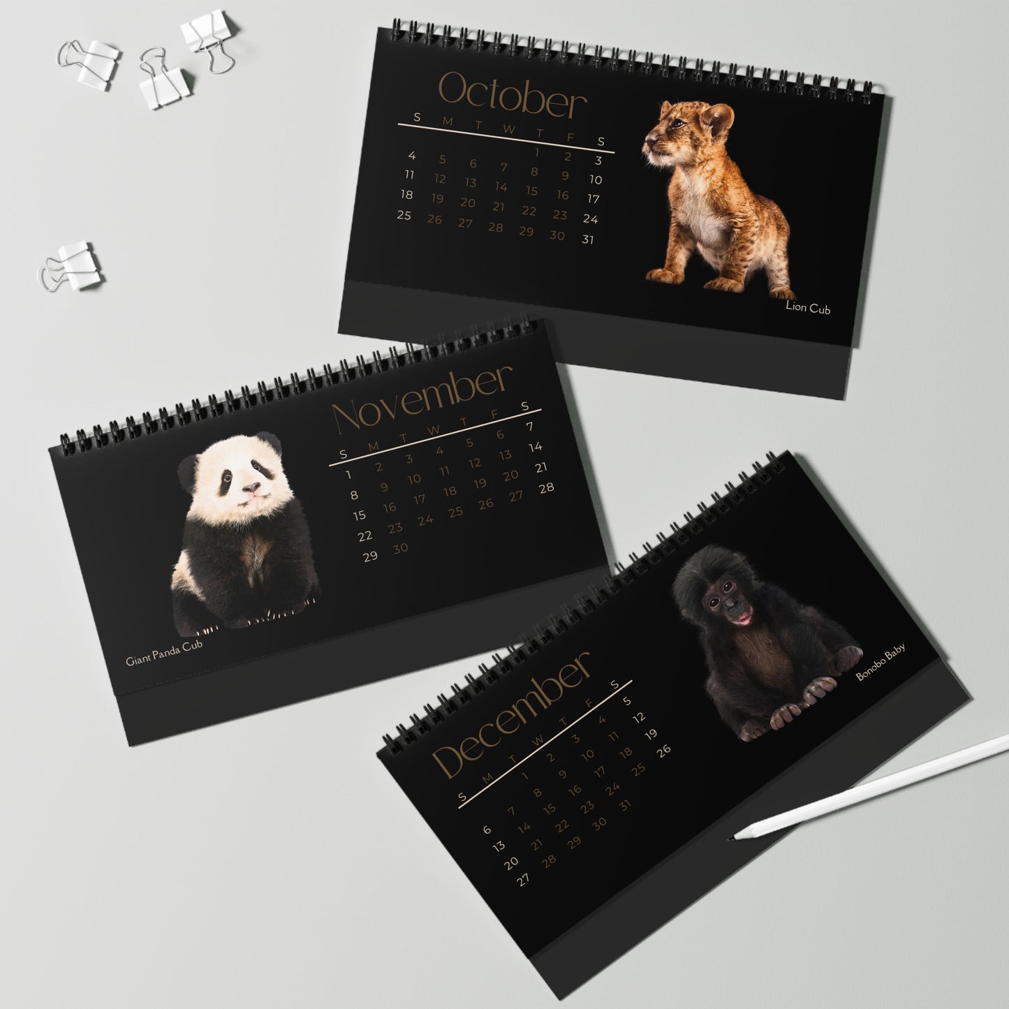 Baby Animals of 2026 Desktop Calendar