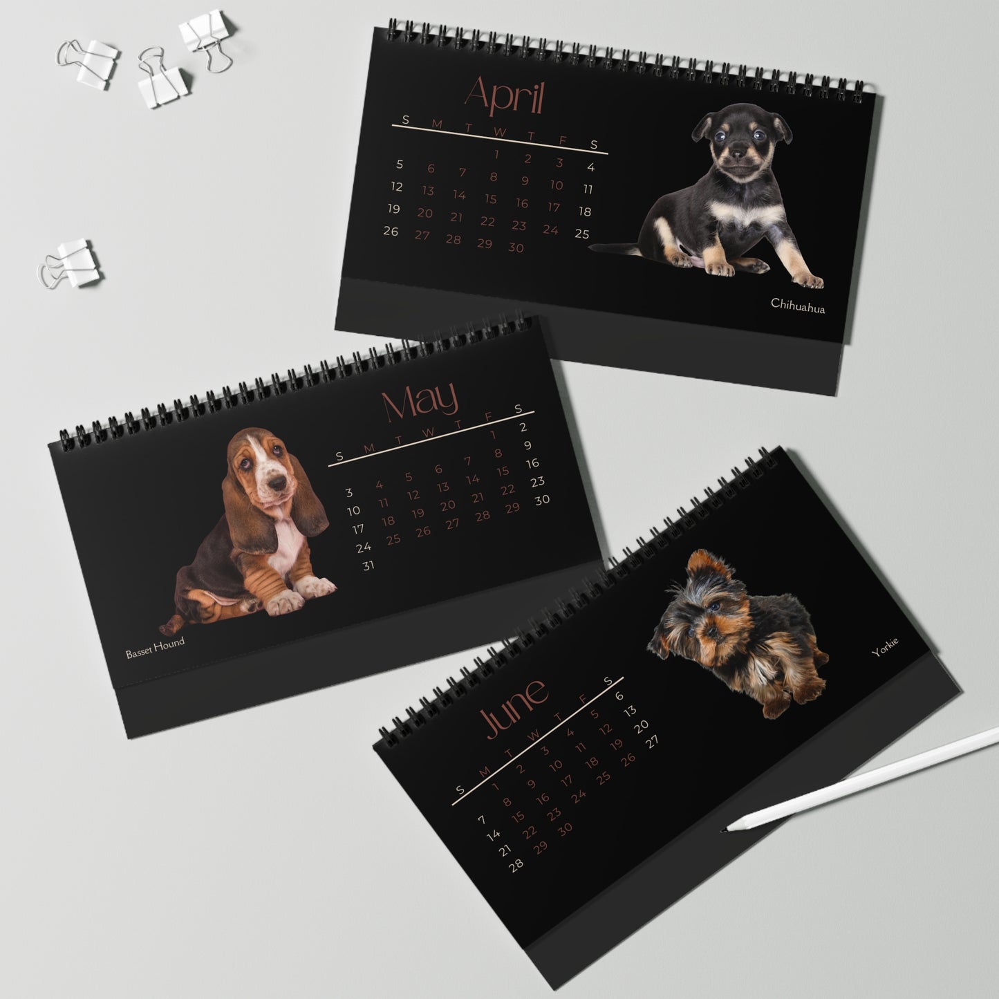 Real Puppies of 2026 Desktop Calendar