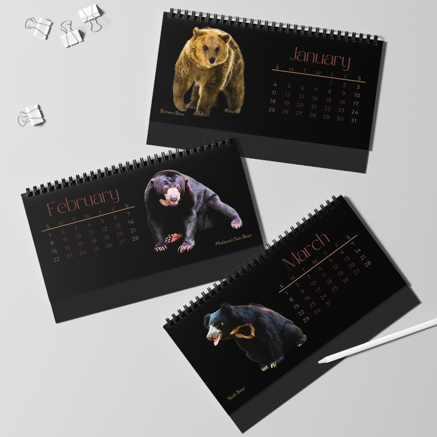 Bodacious Bears of 2026 Desktop Calendar