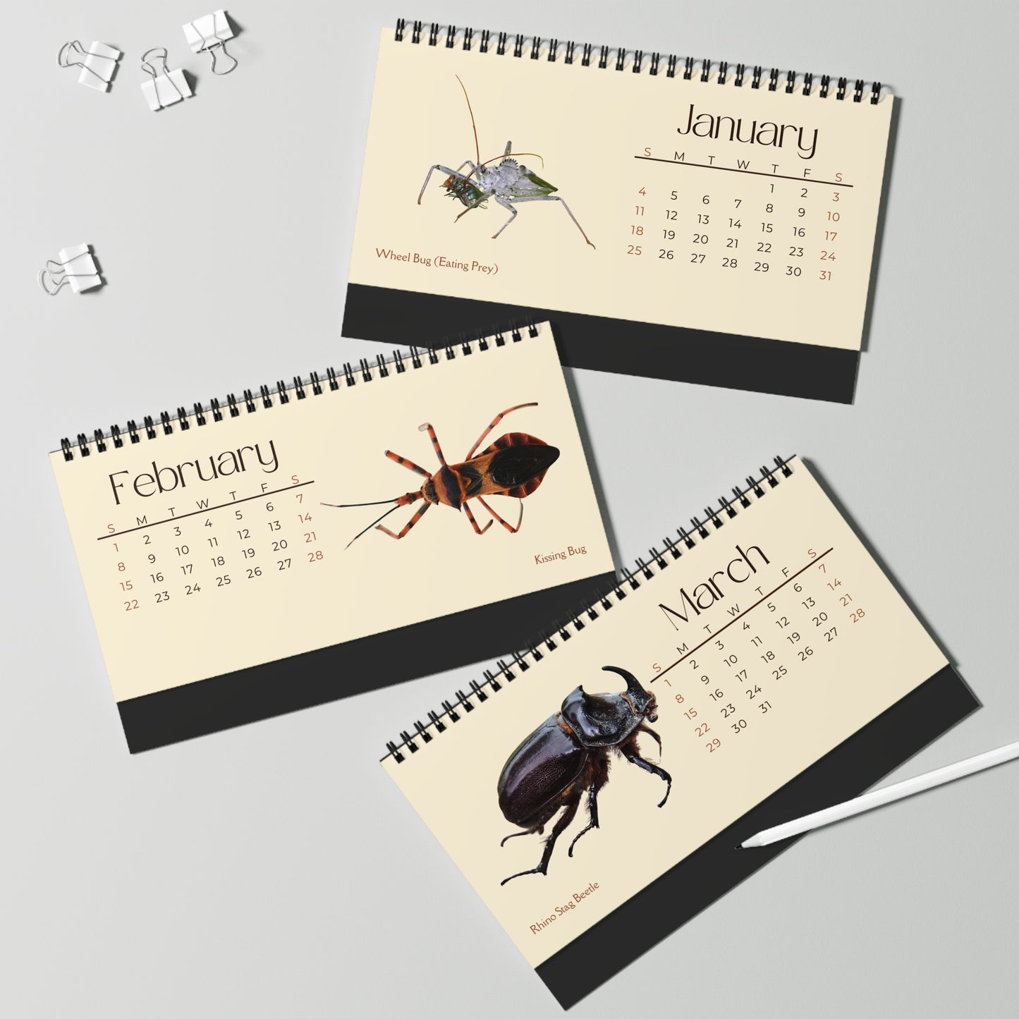 Incredible Insects of 2026 Desktop Calendar