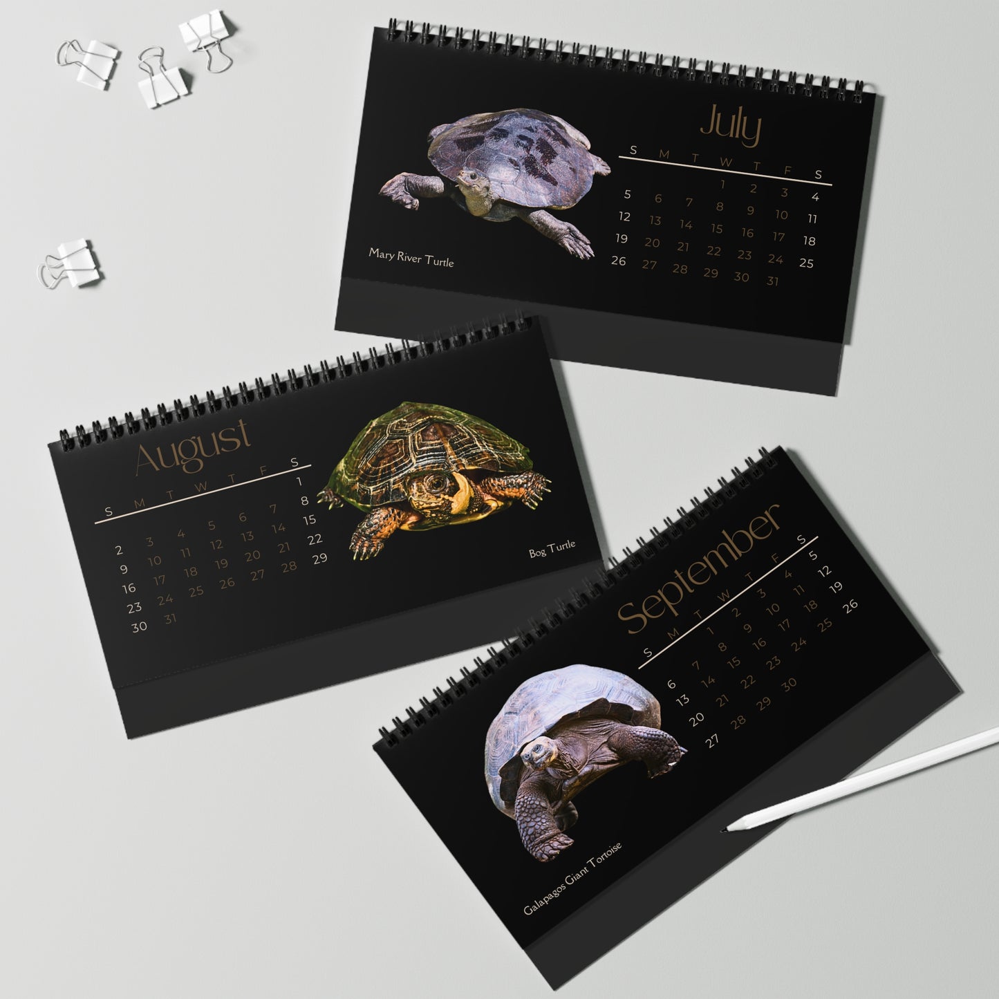 Toughest Turtles of 2026 Desktop Calendar