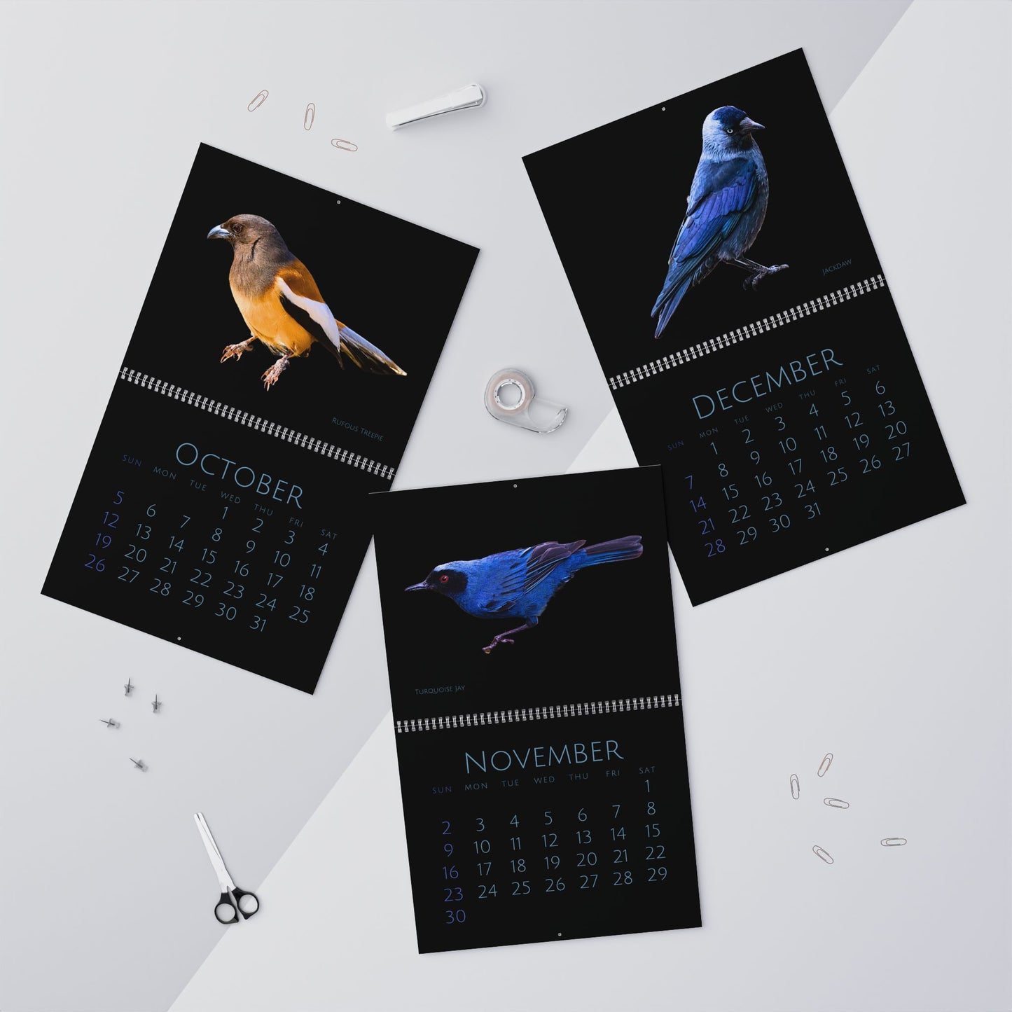 Cool Corvids of 2025 Wall Calendar
