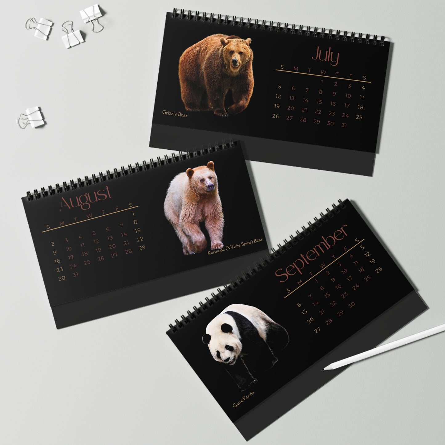 Bodacious Bears of 2026 Desktop Calendar