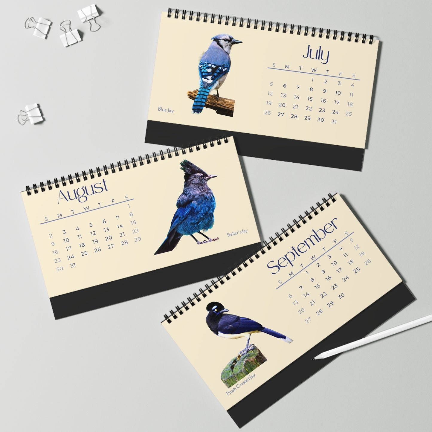 Cool Corvids of 2026 Desktop Calendar