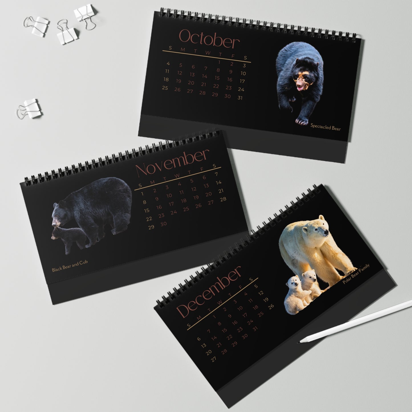 Bodacious Bears of 2026 Desktop Calendar