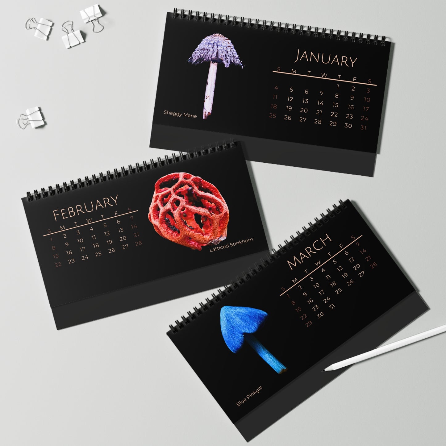 Magical Mushrooms of 2026 Desktop Calendar