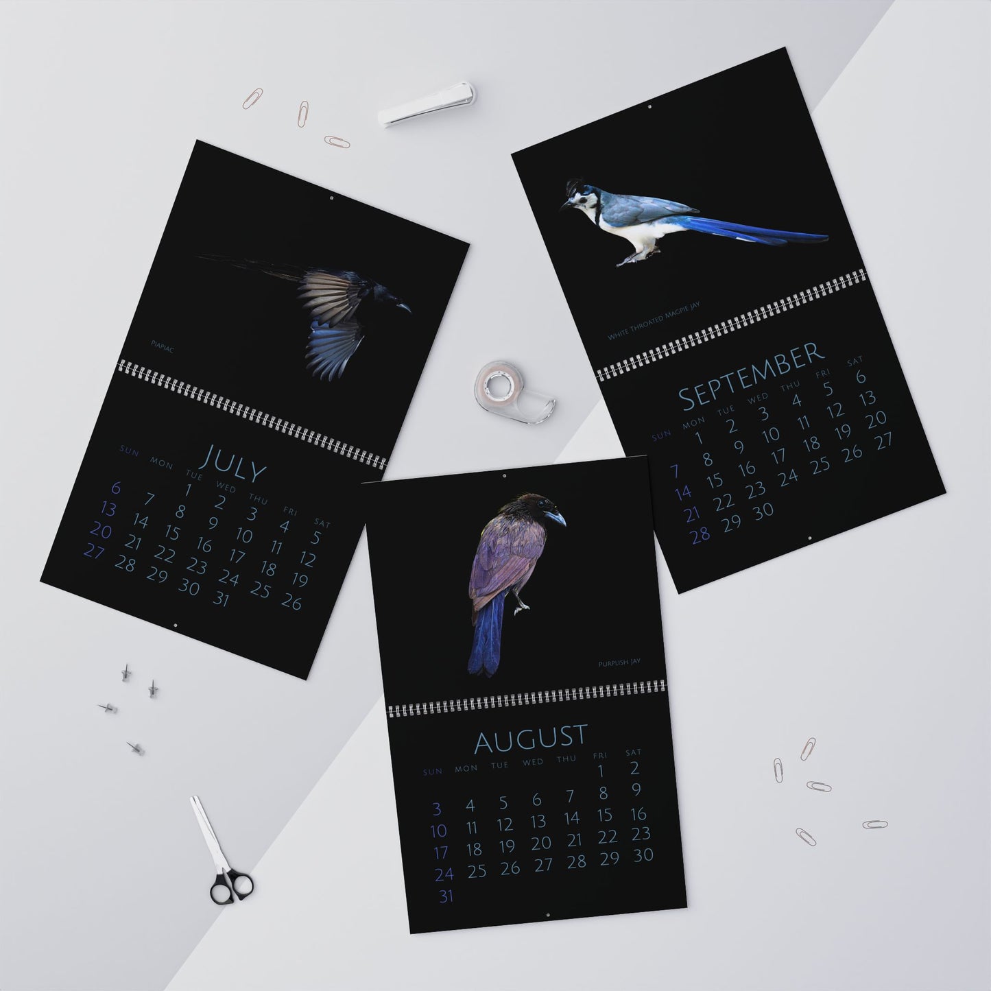 Cool Corvids of 2025 Wall Calendar