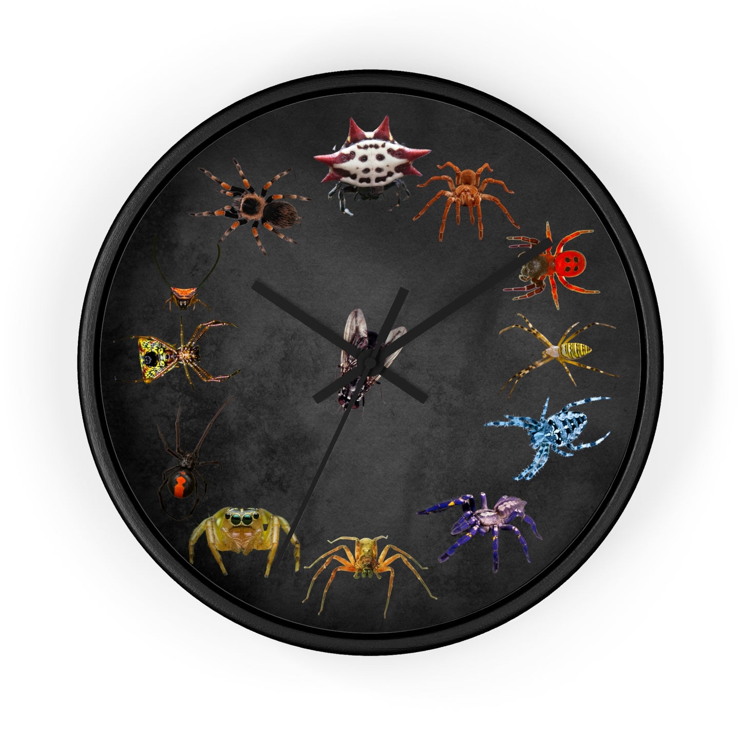 Stupendous Spiders Wall Clock