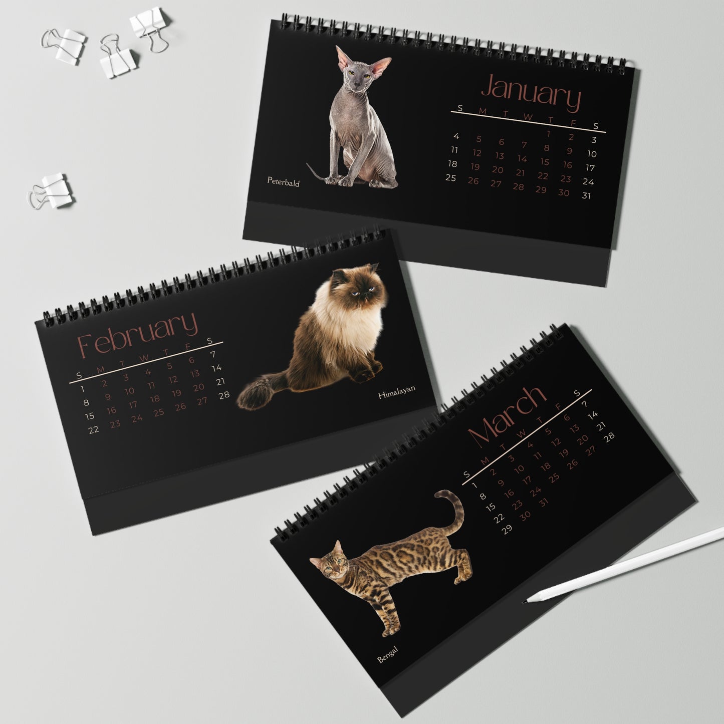 Fantastic Felines of 2026 (Cats) Desktop Calendar