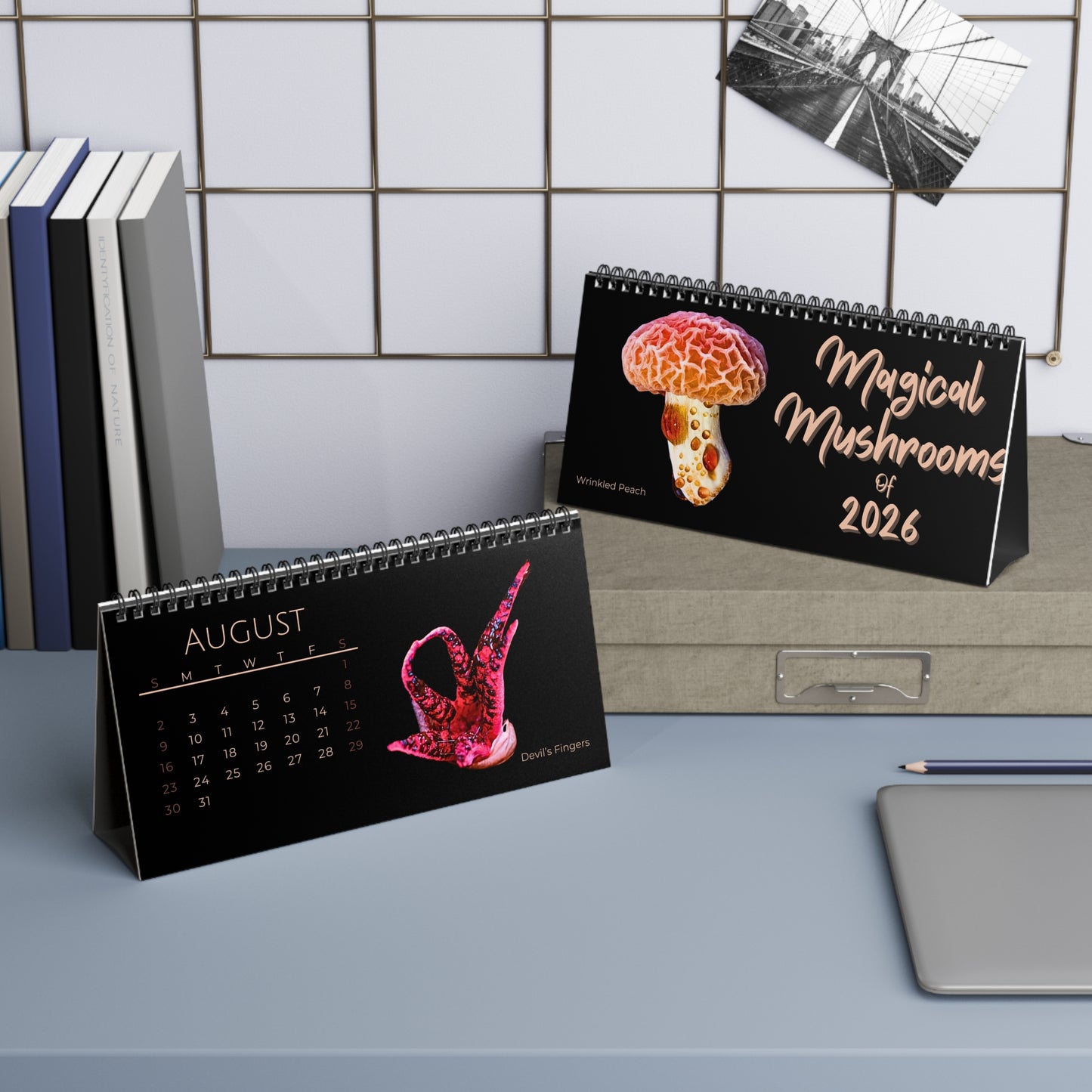 Magical Mushrooms of 2026 Desktop Calendar