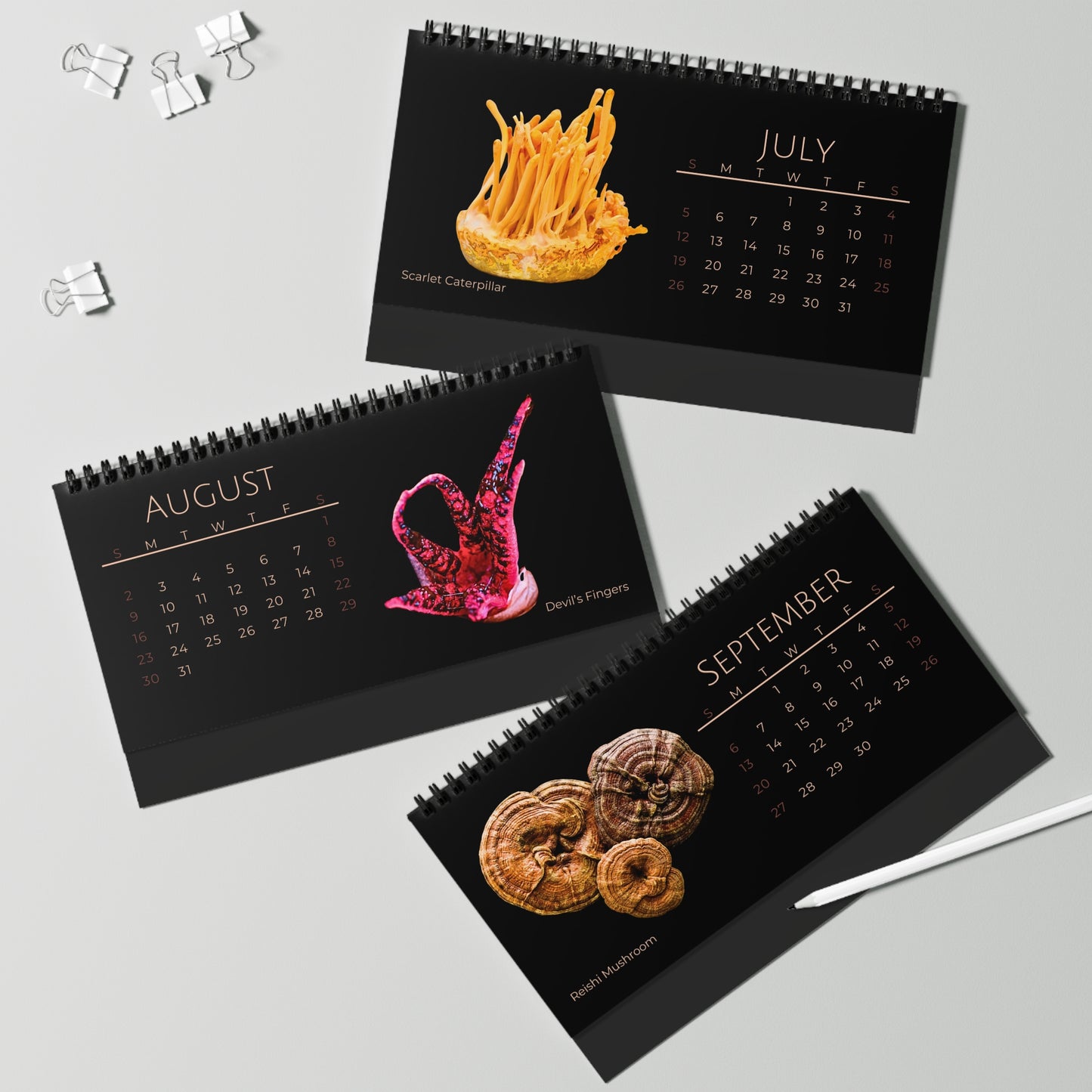 Magical Mushrooms of 2026 Desktop Calendar