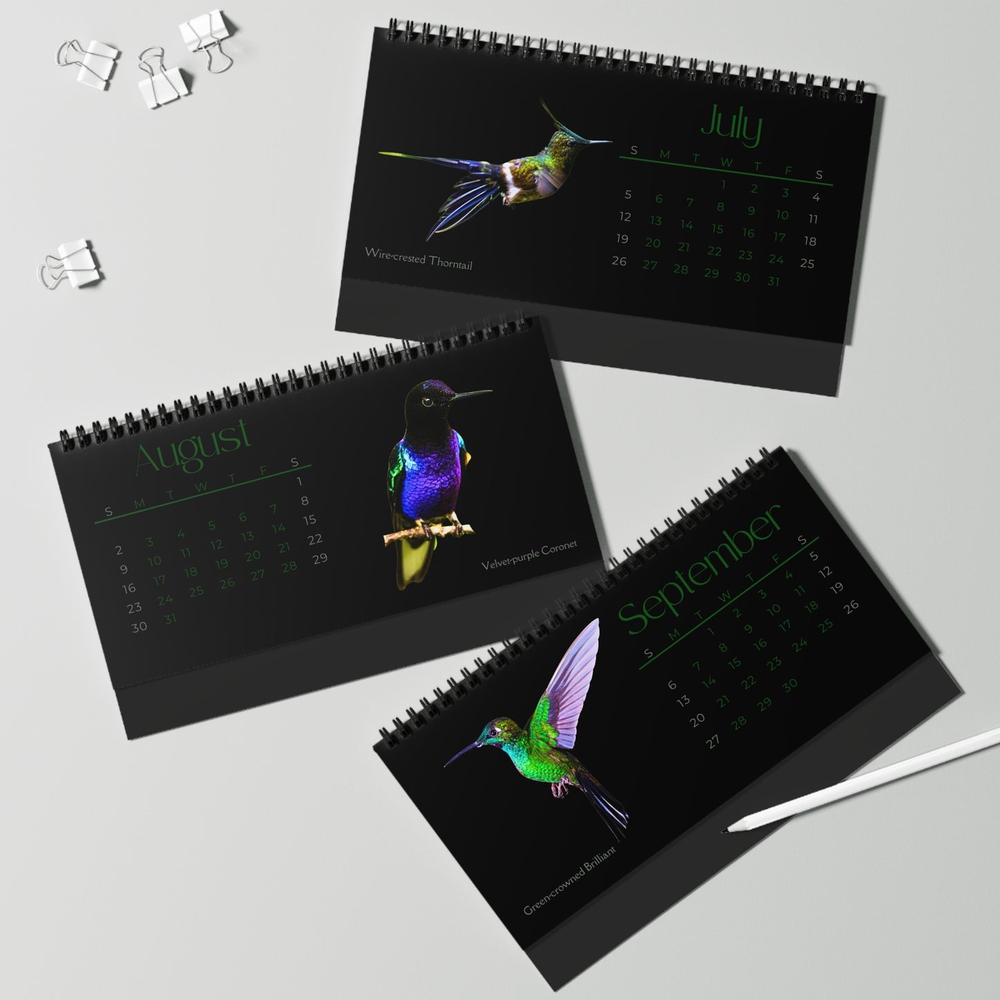 Real Hummingbirds of 2026 Desktop Calendar