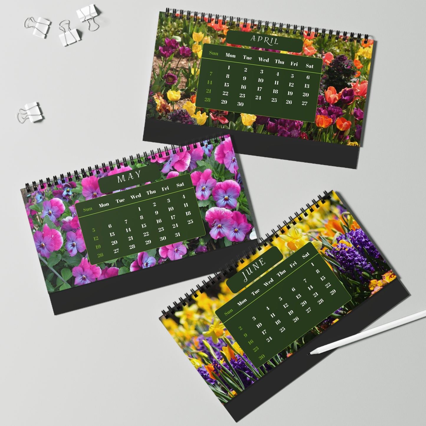 Botanical Gardens 2024 Desk Calendar