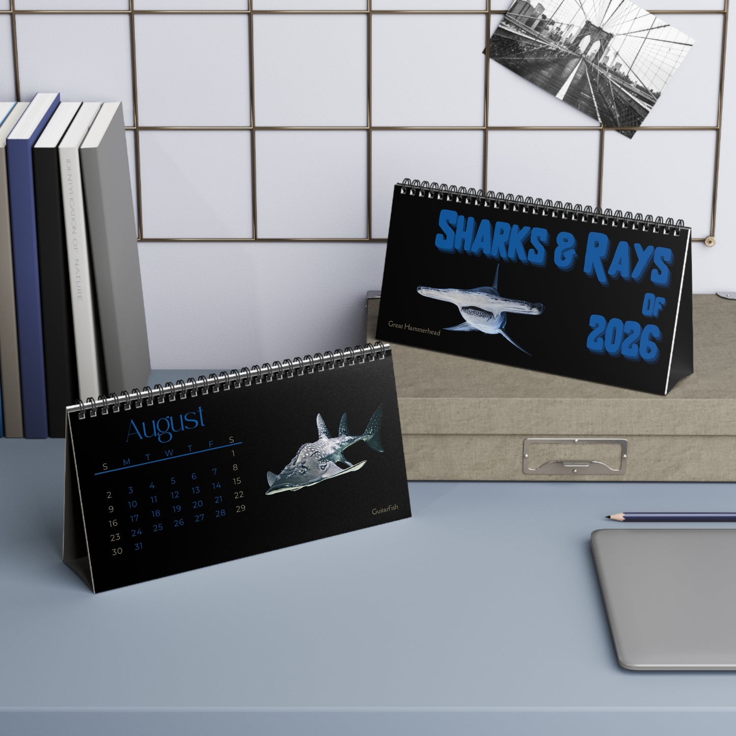 Sharks & Rays of. 2026 Desktop Calendar