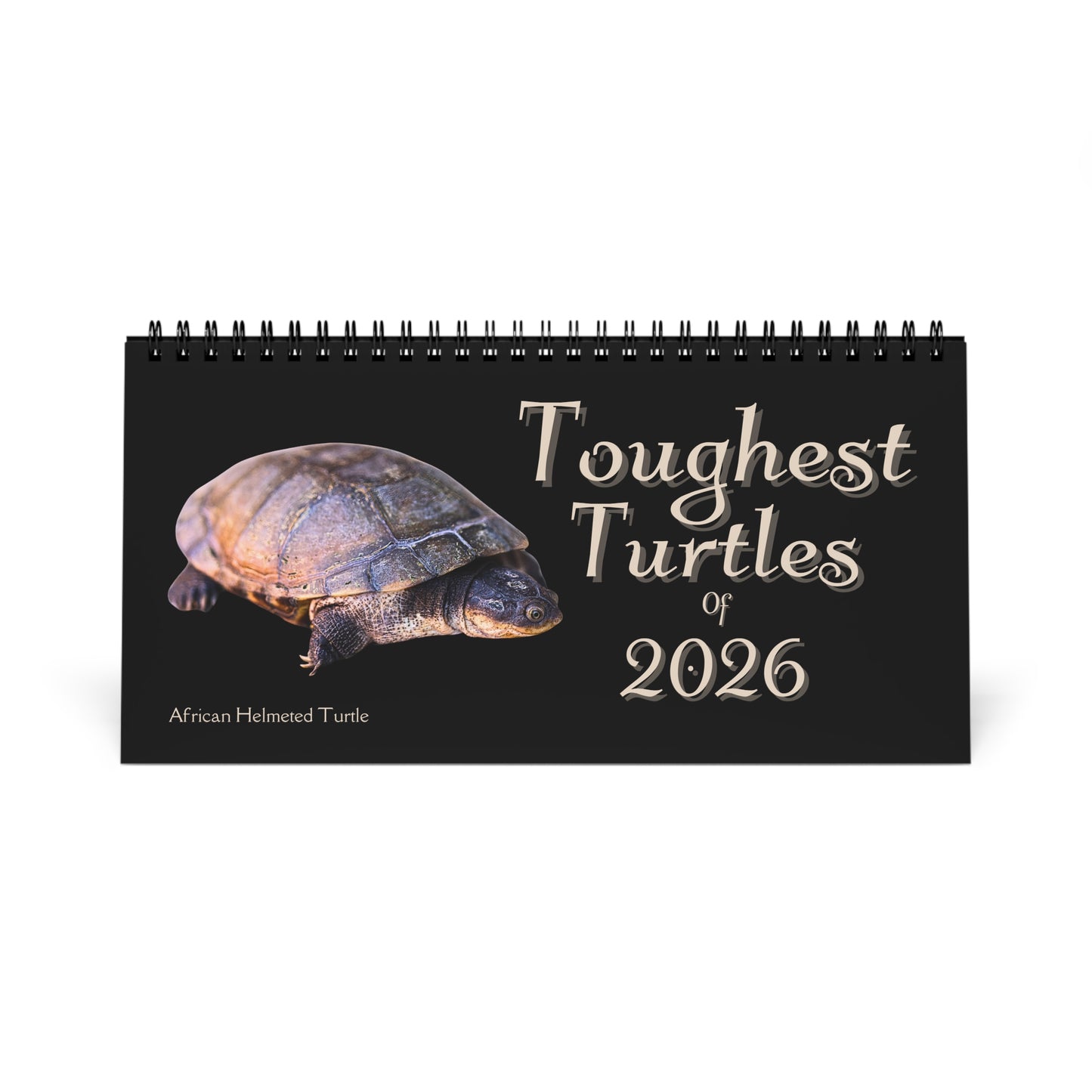 Toughest Turtles of 2026 Desktop Calendar