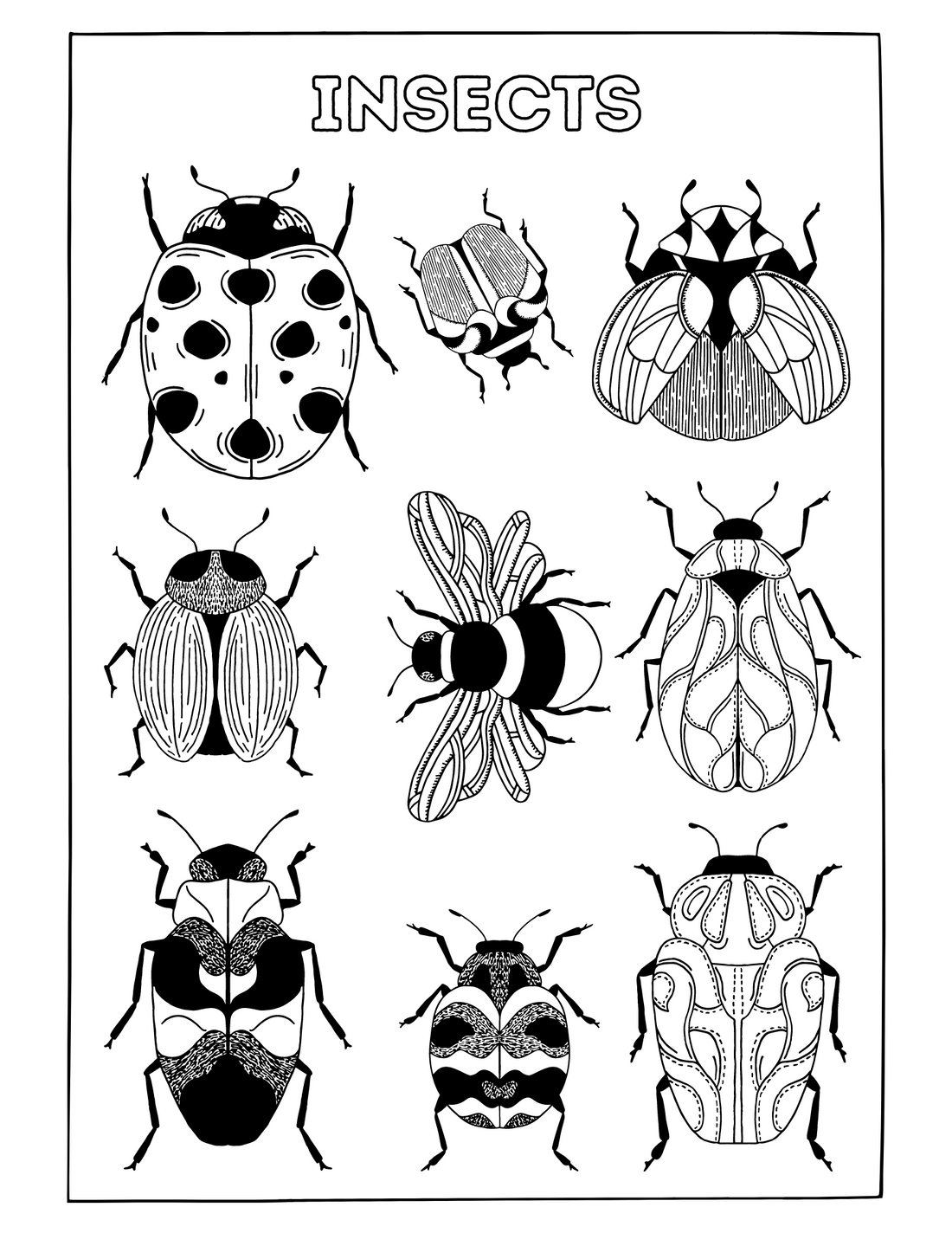 Entomophile - a person who loves insects