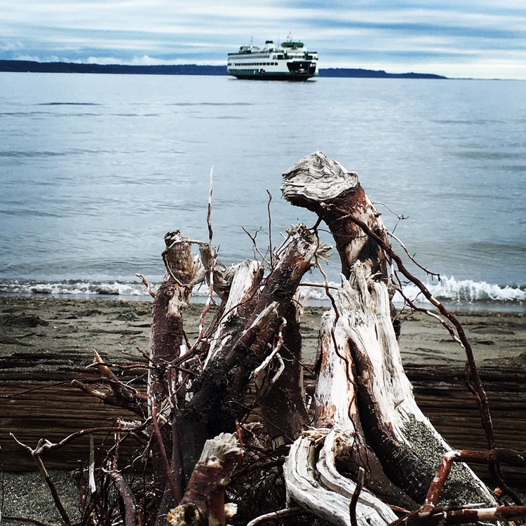 A Washington State ferry coming into the Edmonds Marina from the Edmonds beach with a large piece of driftwood in the foreground.