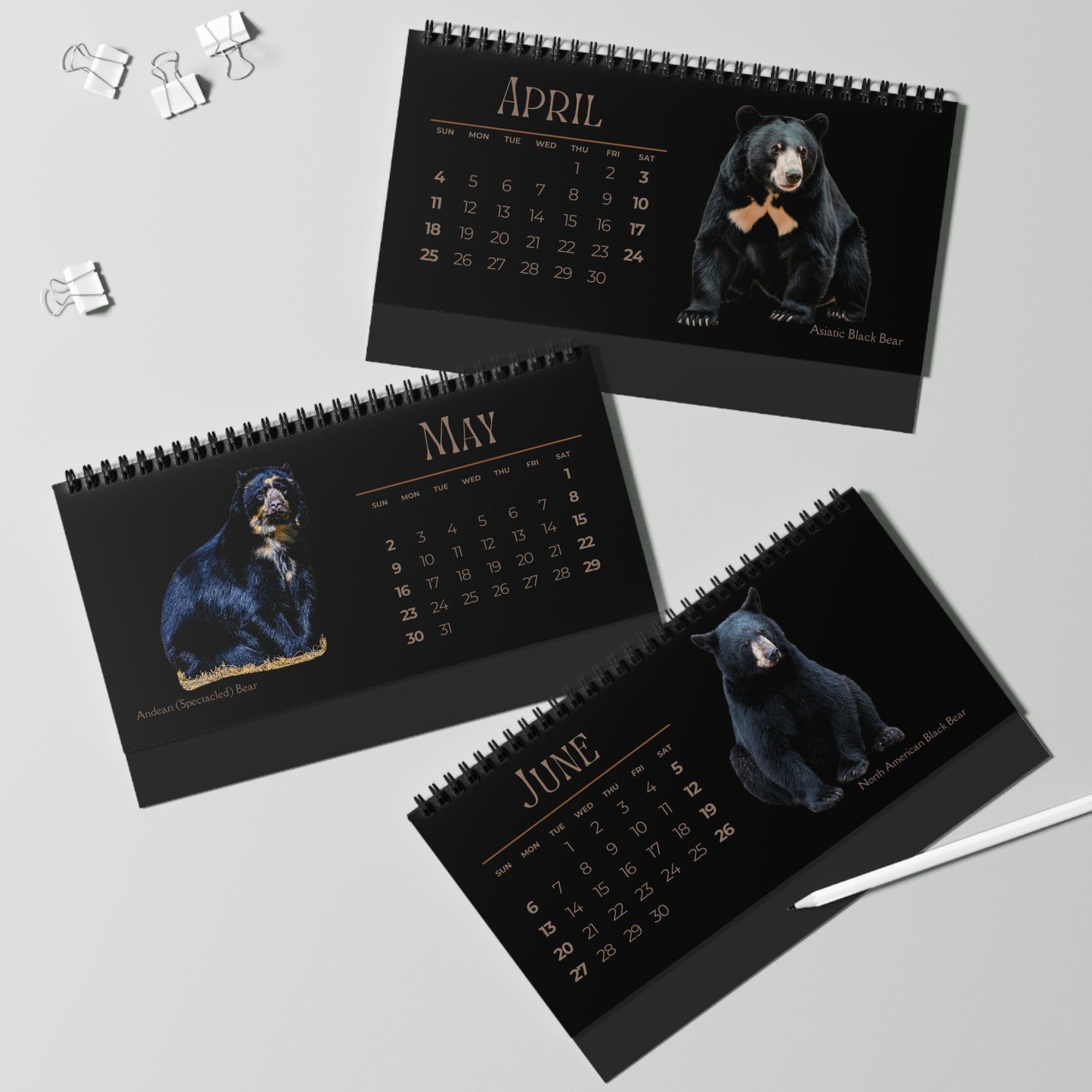 Bodacious Bears of 2027 Desktop Calendar