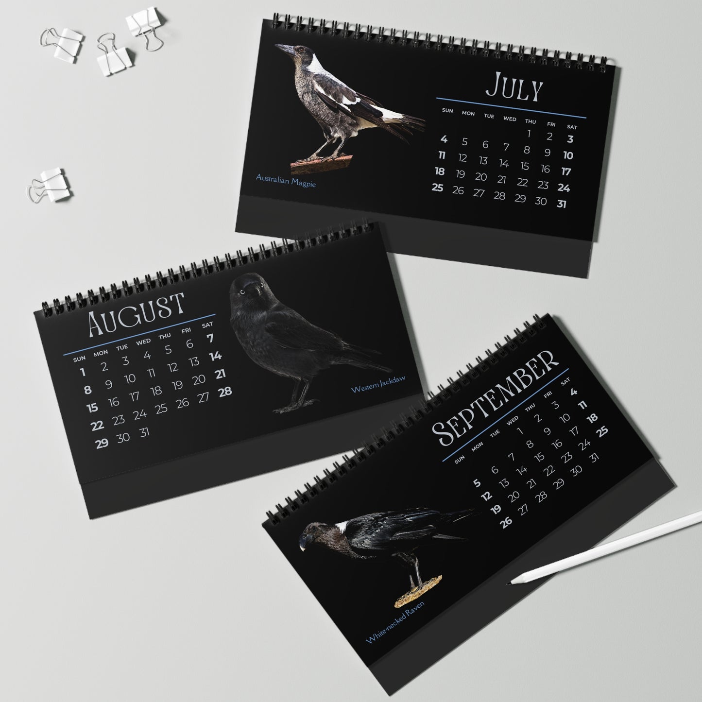 Cool Corvids of 2027 Desktop Calendar