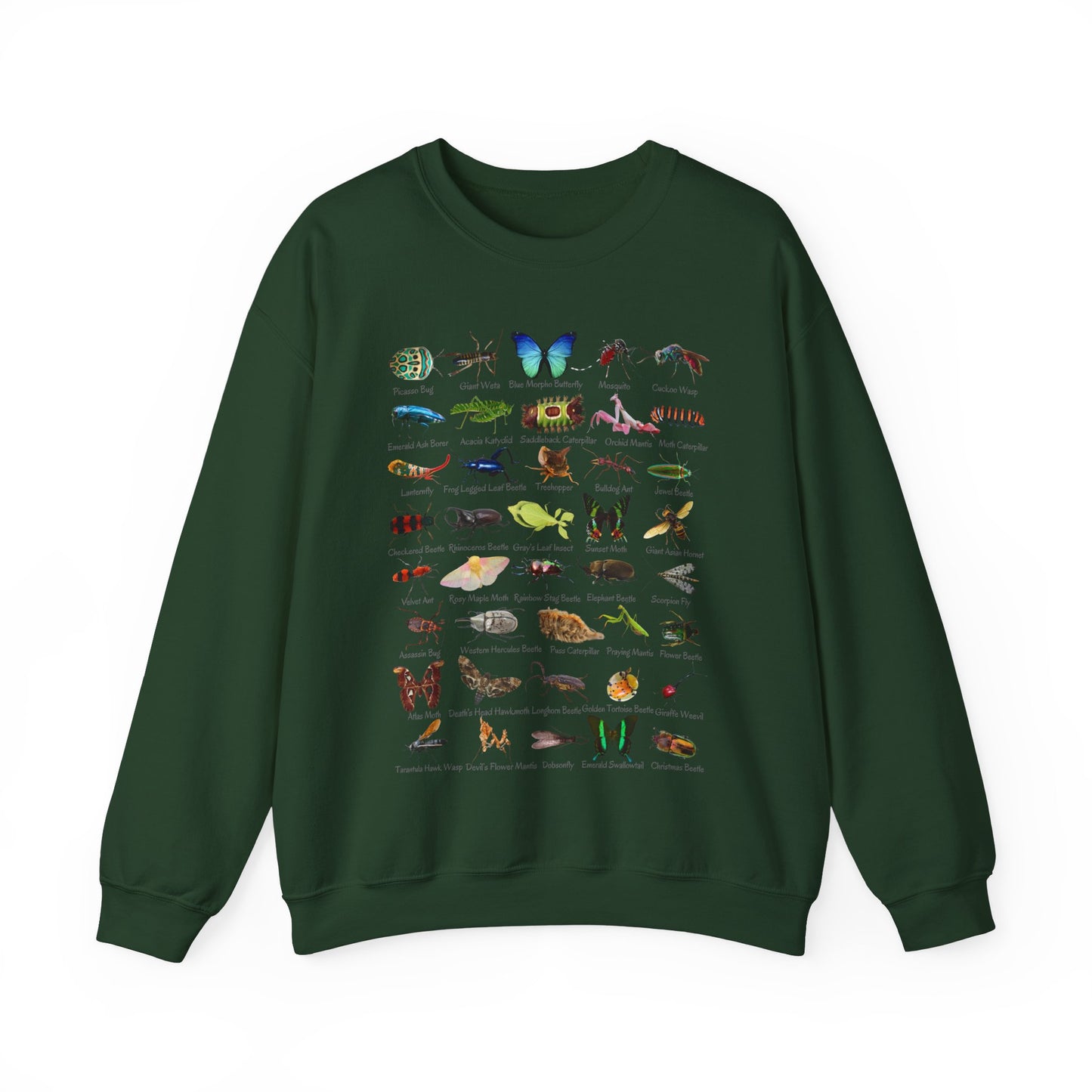 Impressive Insects with 40 Cool Bugs Crewneck Sweatshirt