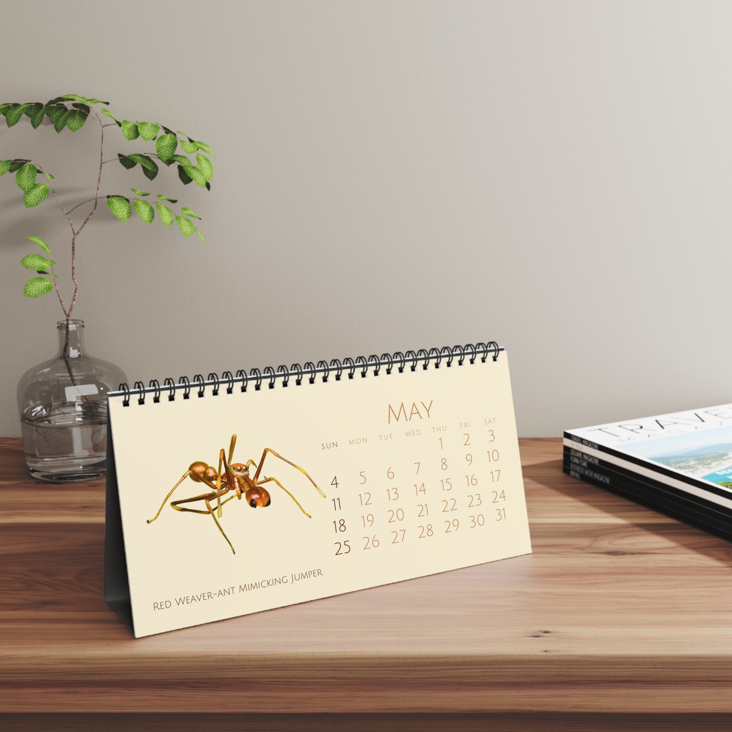 Spiders of 2025 Desktop Calendar