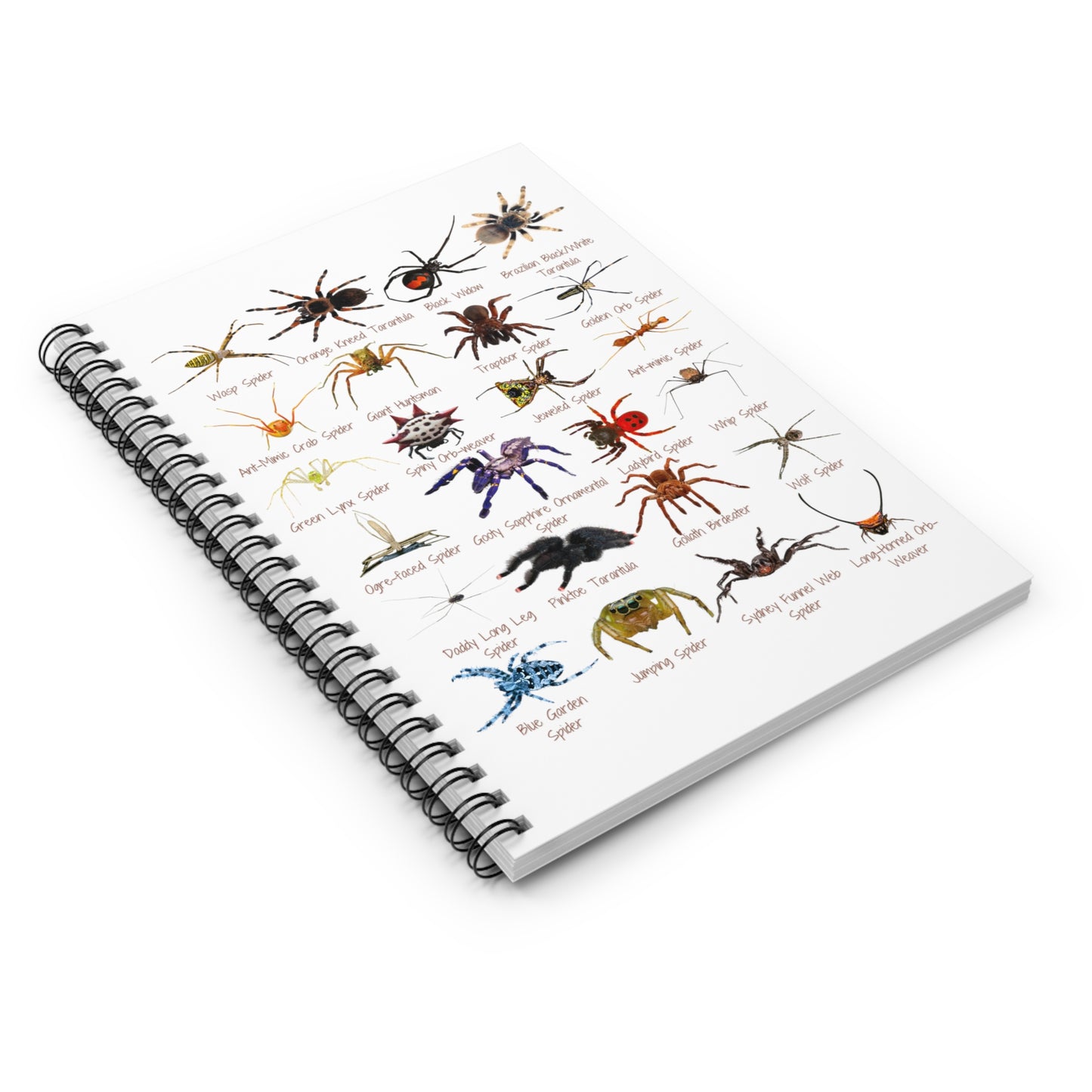 Stupendous Spiders Spiral Notebook - Ruled Line