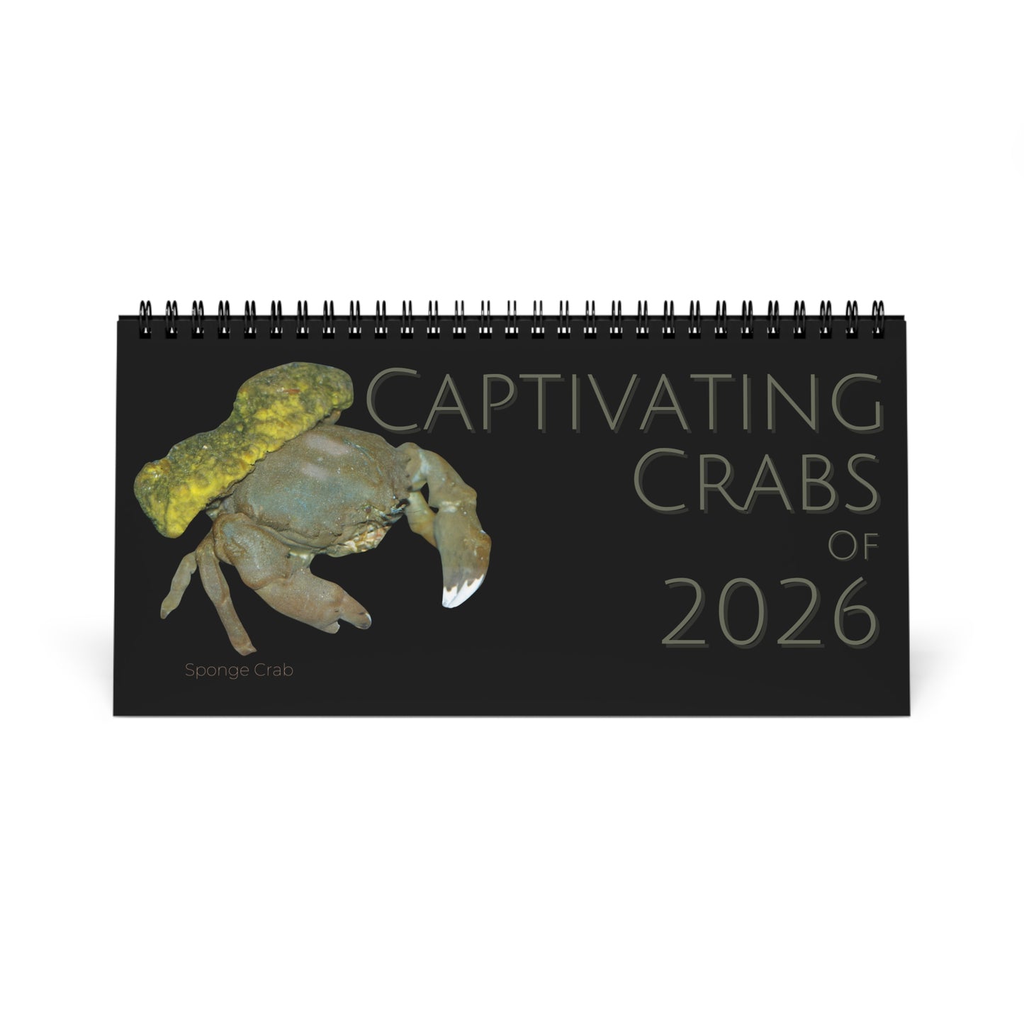 Captivating Crabs of 2026 Desktop Calendar